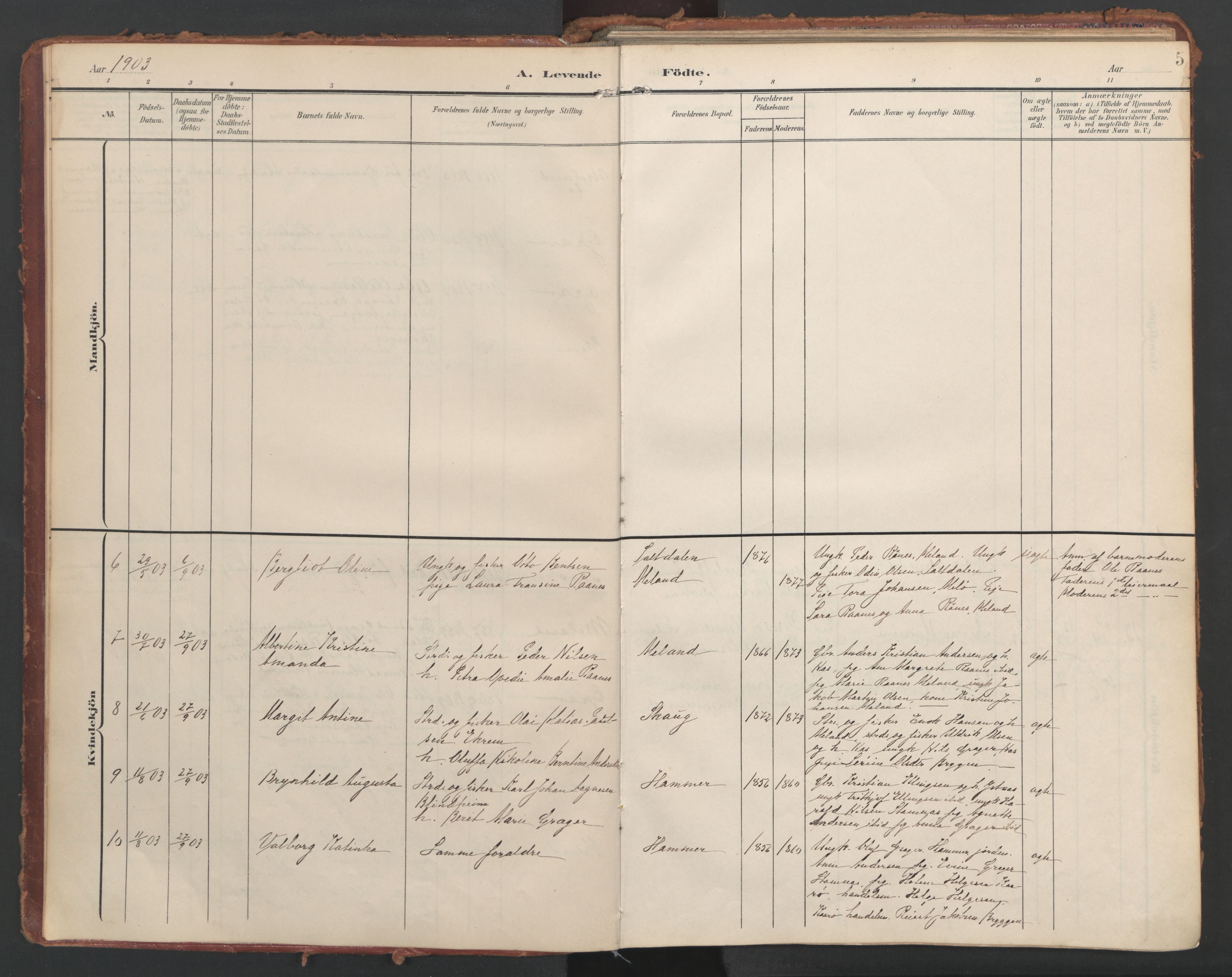 Ministerialprotokoller, klokkerbøker og fødselsregistre - Nordland, AV/SAT-A-1459/808/L0129: Parish register (official) no. 808A02, 1903-1931, p. 5