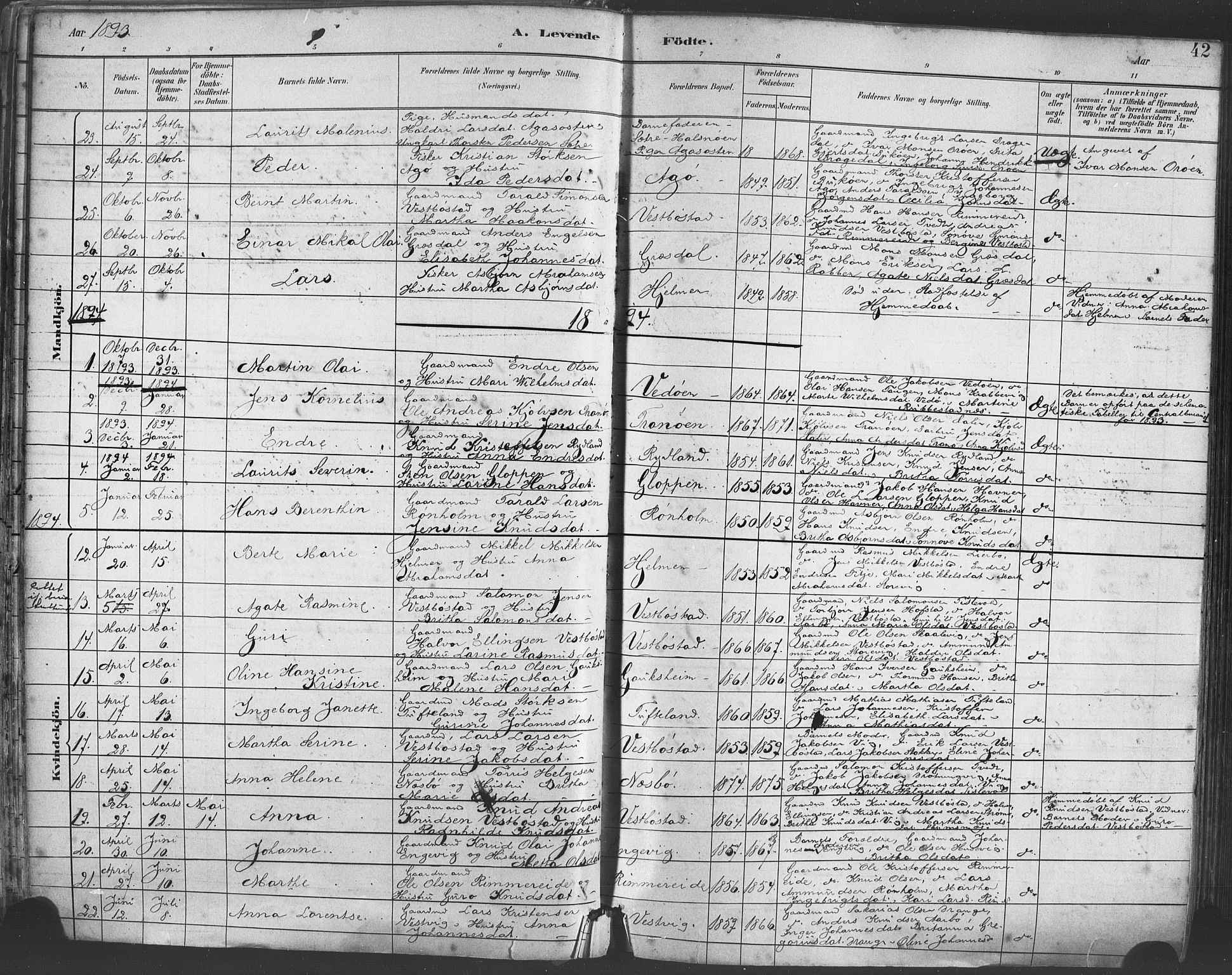 Fitjar sokneprestembete, AV/SAB-A-99926: Parish register (official) no. A 2, 1882-1899, p. 42