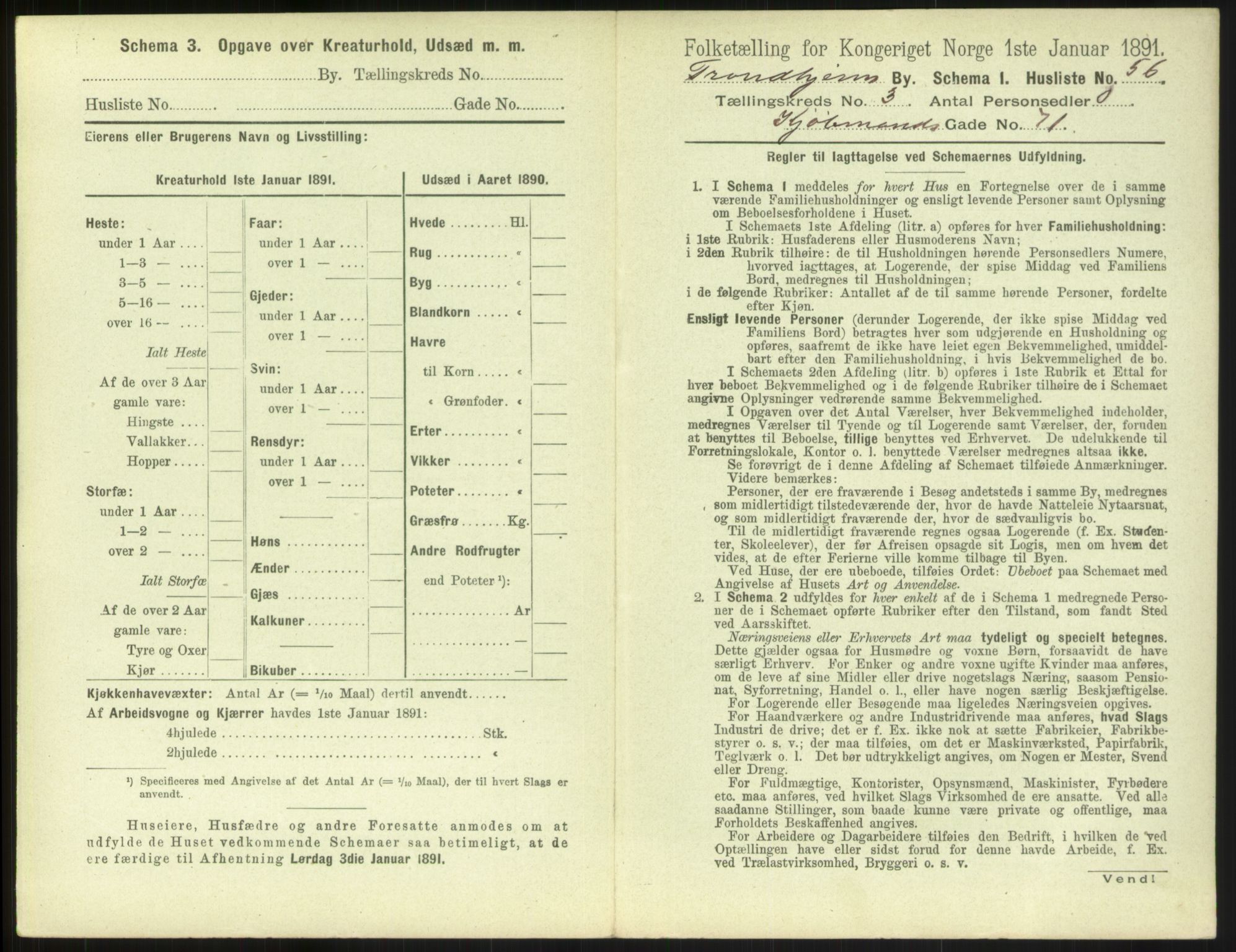 RA, 1891 census for 1601 Trondheim, 1891, p. 458