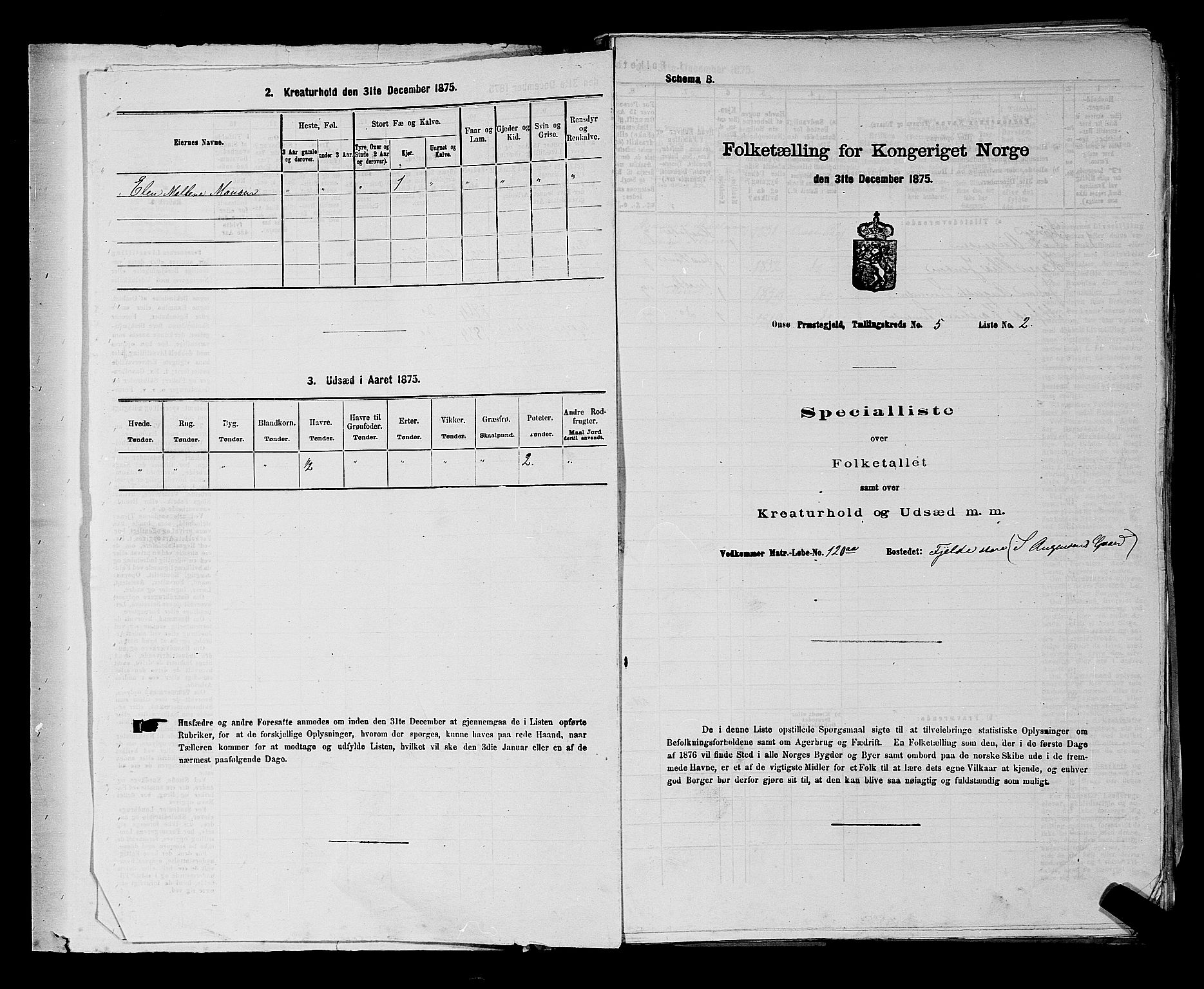 RA, 1875 census for 0134P Onsøy, 1875, p. 999