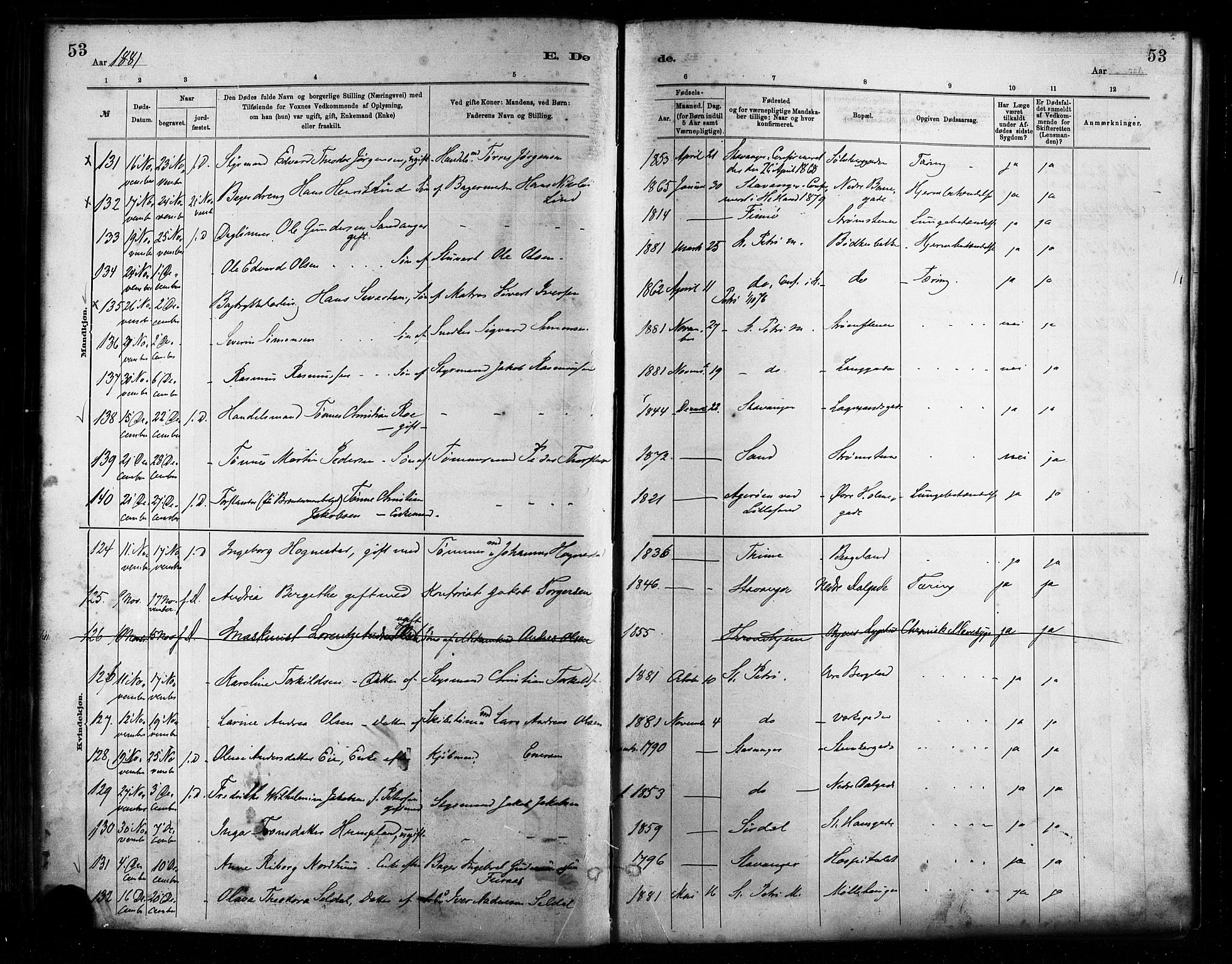 St. Petri sokneprestkontor, AV/SAST-A-101813/001/30/30BA/L0017: Parish register (official) no. A 17, 1879-1895, p. 53