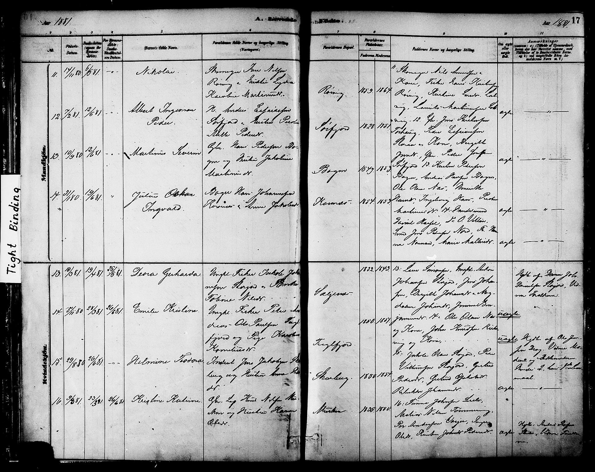 Ministerialprotokoller, klokkerbøker og fødselsregistre - Nordland, AV/SAT-A-1459/861/L0868: Parish register (official) no. 861A03, 1879-1889, p. 17