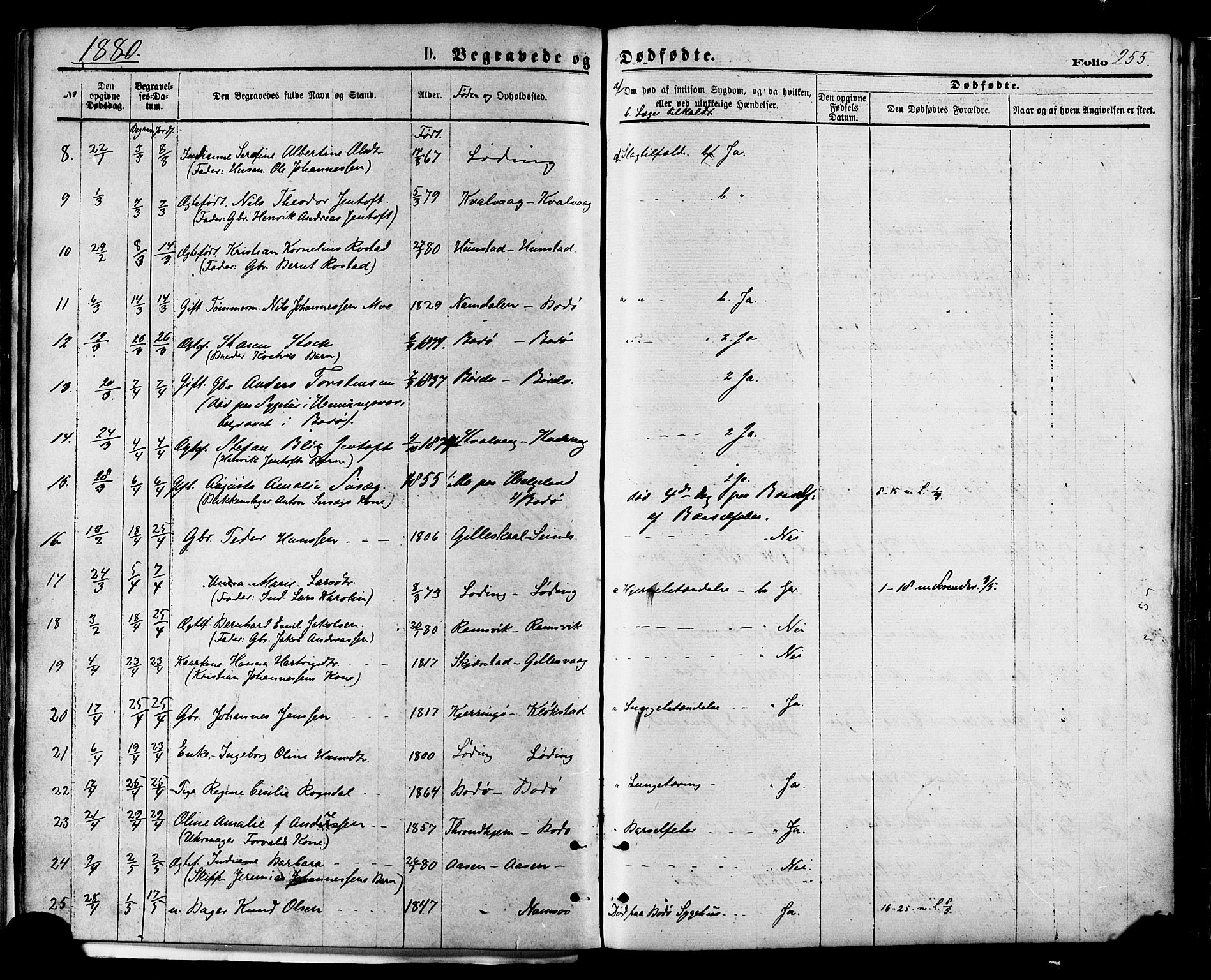 Ministerialprotokoller, klokkerbøker og fødselsregistre - Nordland, AV/SAT-A-1459/801/L0009: Parish register (official) no. 801A09, 1876-1883, p. 255