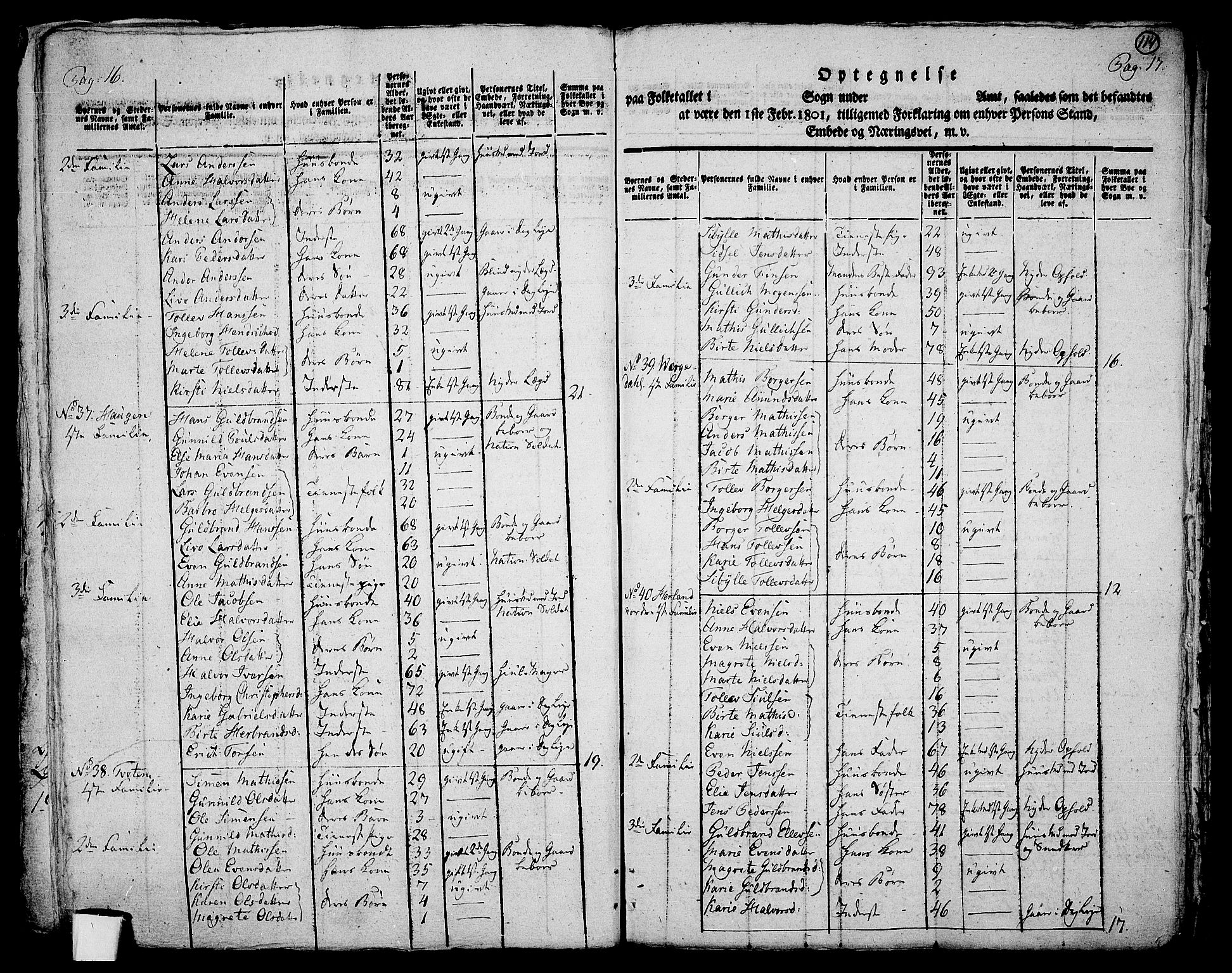RA, 1801 census for 0728P Lardal, 1801, p. 113b-114a