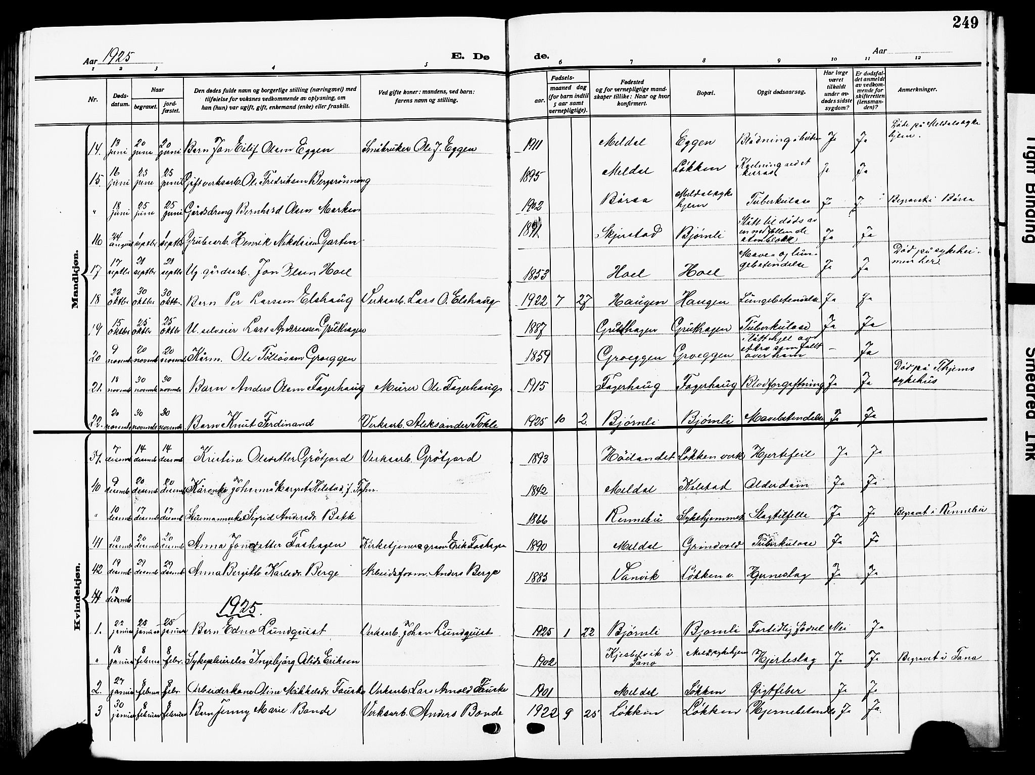 Ministerialprotokoller, klokkerbøker og fødselsregistre - Sør-Trøndelag, SAT/A-1456/672/L0865: Parish register (copy) no. 672C04, 1914-1928, p. 249