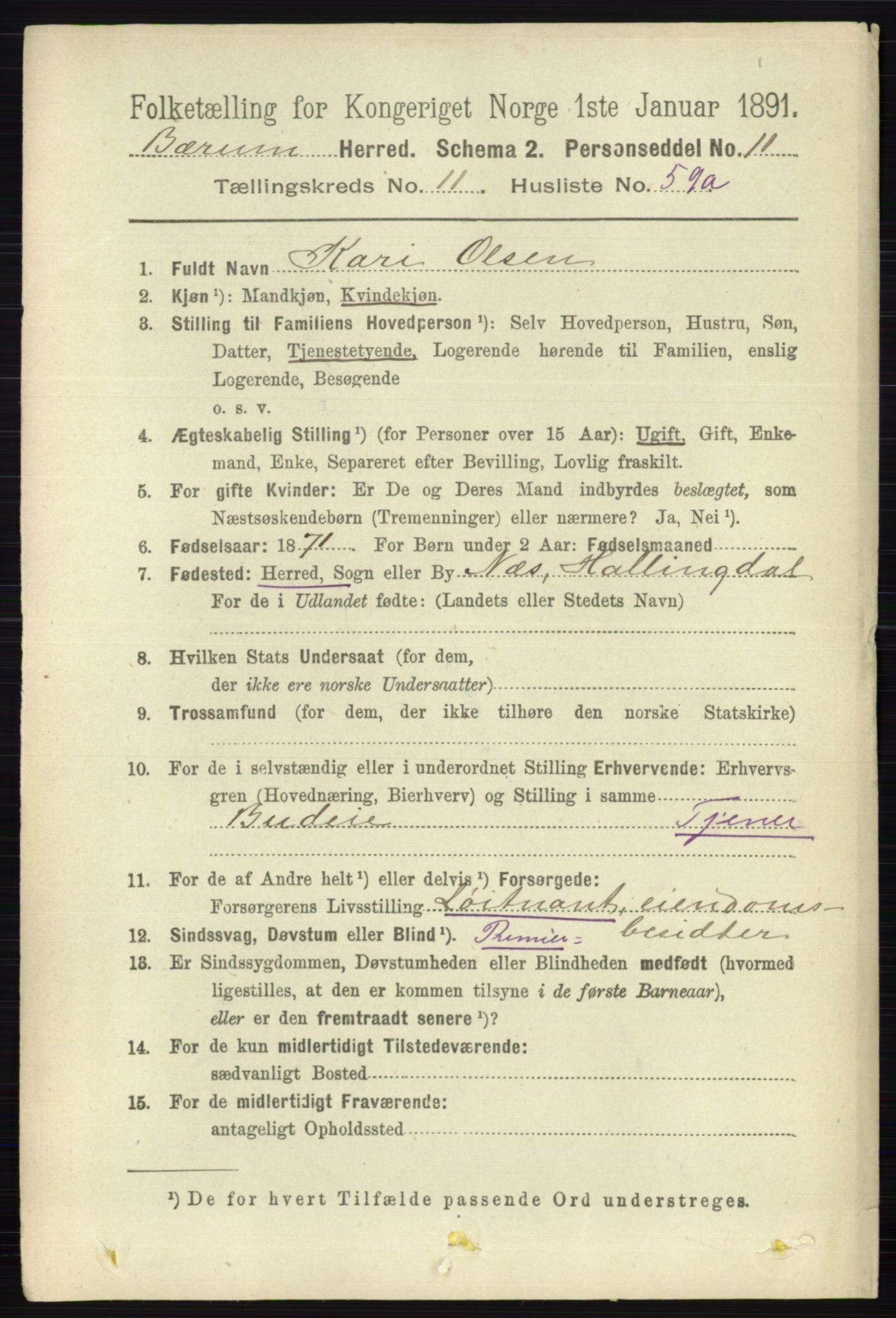 RA, 1891 census for 0219 Bærum, 1891, p. 7972