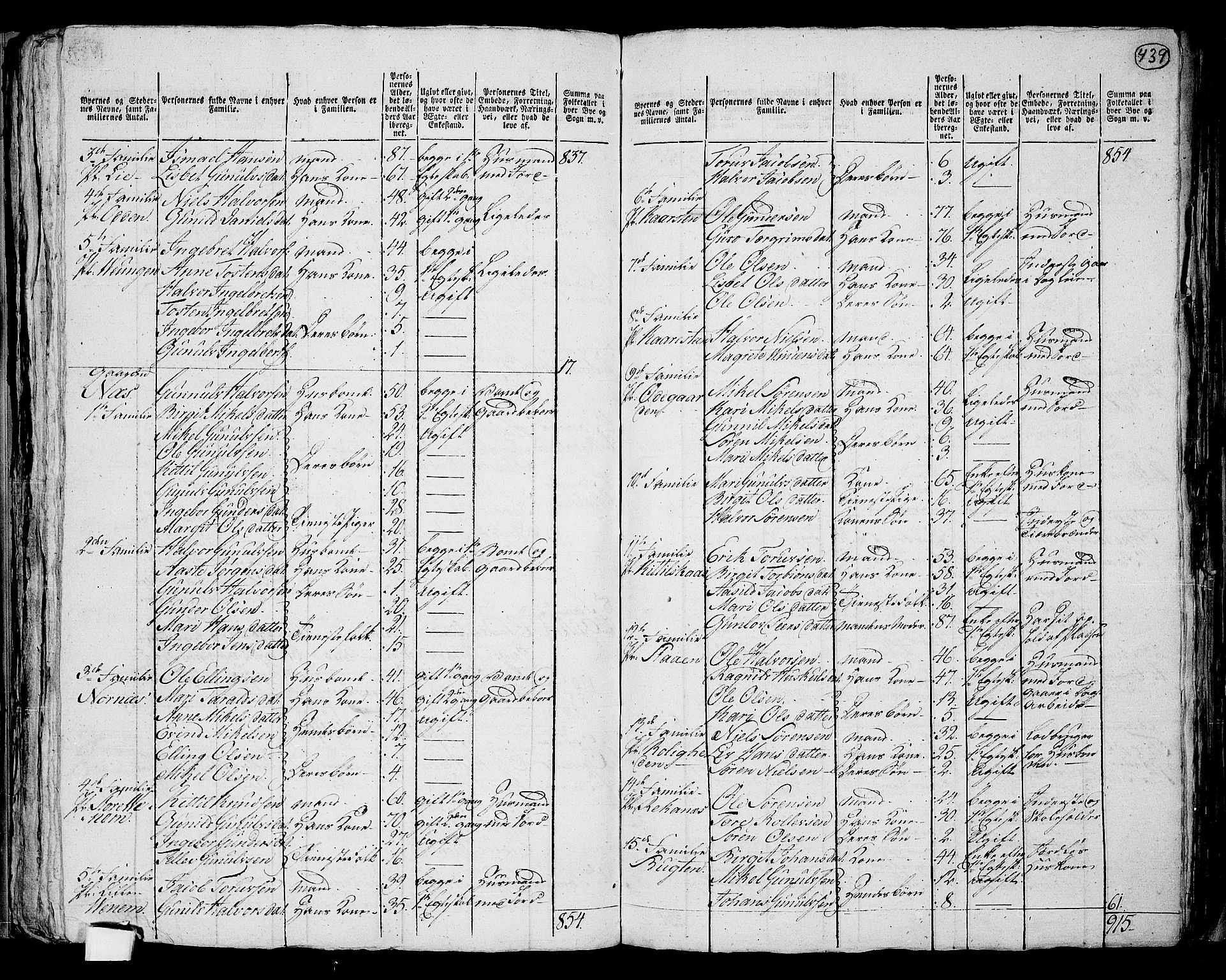 RA, 1801 census for 0829P Kviteseid, 1801, p. 438b-439a