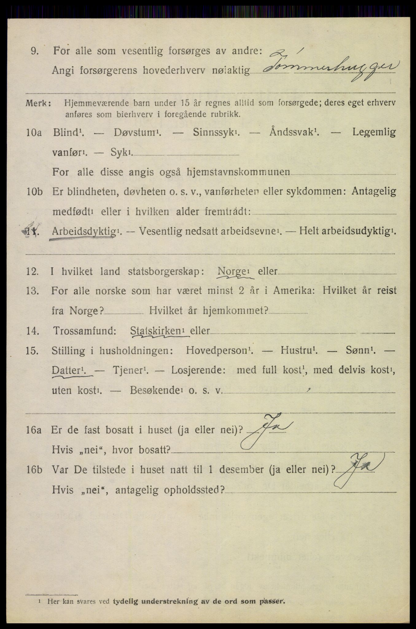 SAH, 1920 census for Trysil, 1920, p. 4100