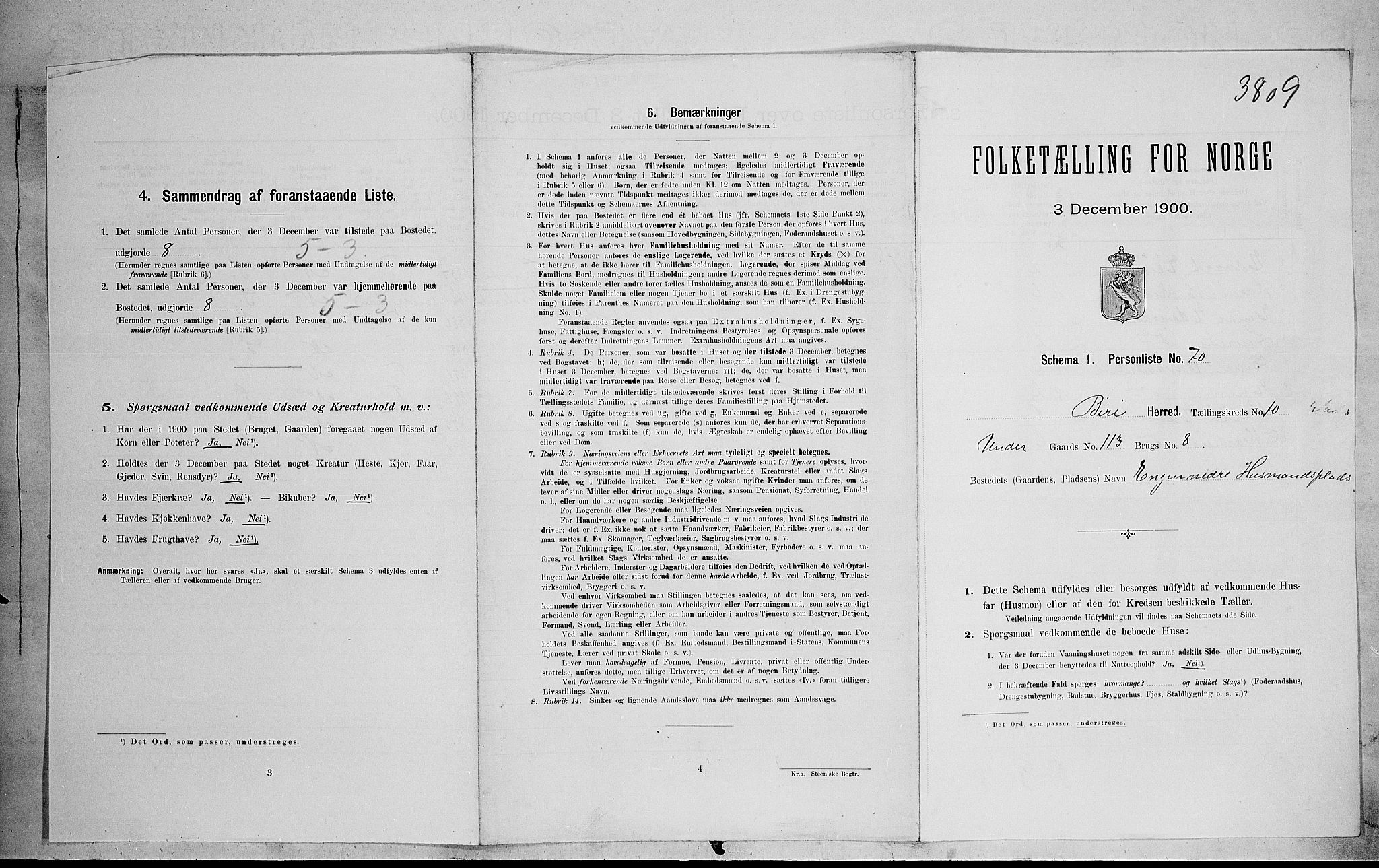 SAH, 1900 census for Biri, 1900, p. 1293