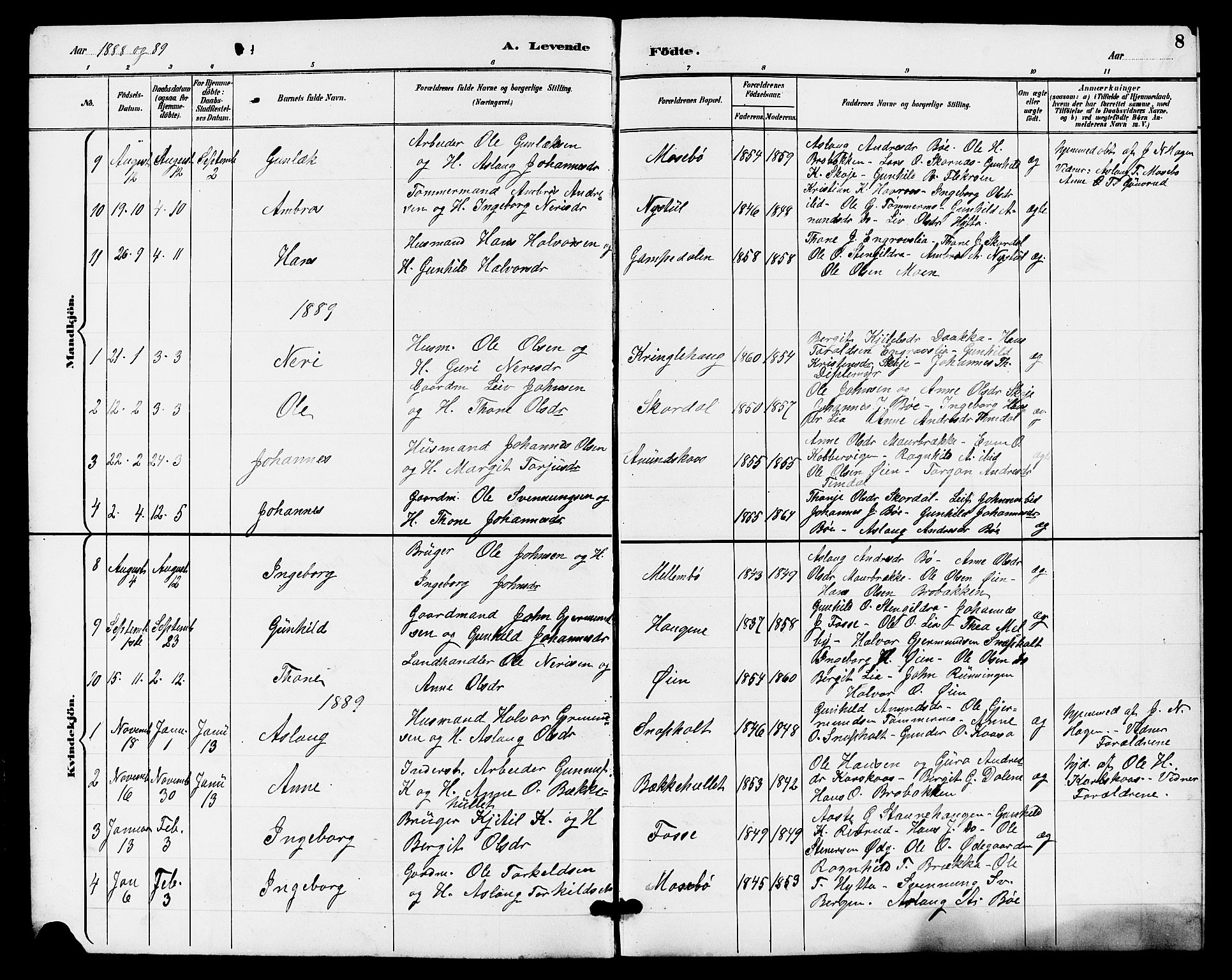 Hjartdal kirkebøker, SAKO/A-270/G/Gb/L0003: Parish register (copy) no. II 3, 1884-1899, p. 8