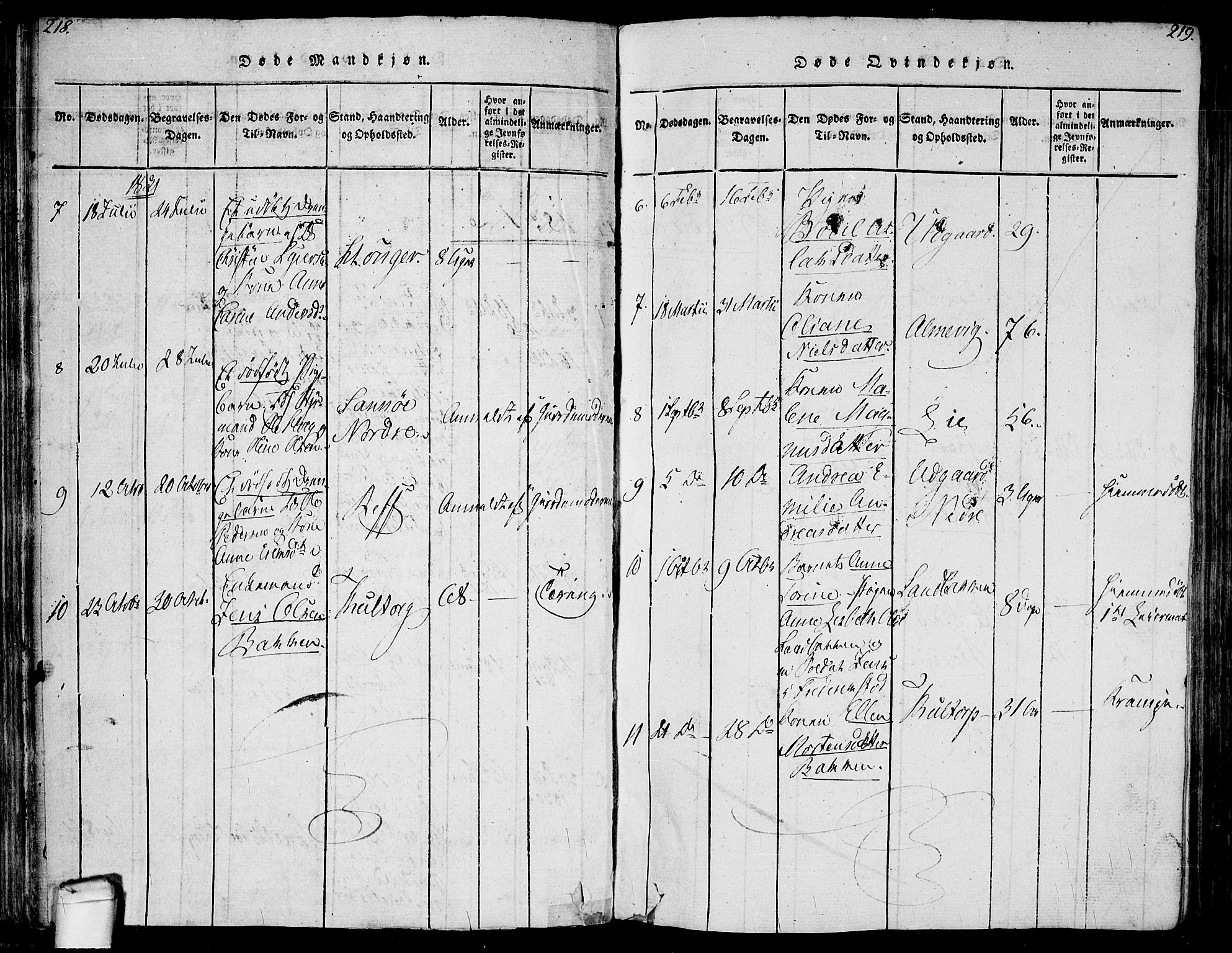 Hvaler prestekontor Kirkebøker, AV/SAO-A-2001/F/Fa/L0005: Parish register (official) no. I 5, 1816-1845, p. 218-219