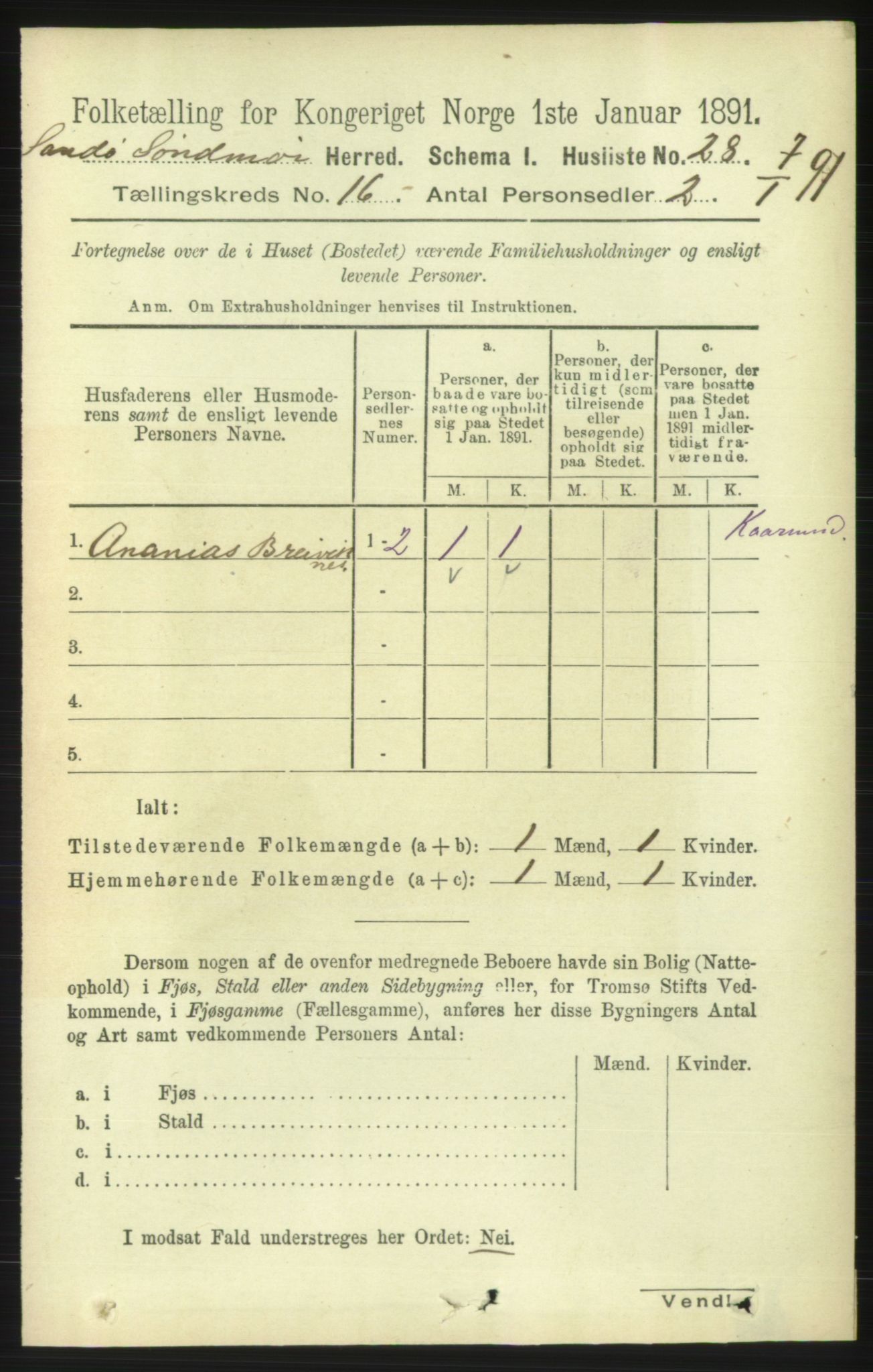 RA, 1891 census for 1514 Sande, 1891, p. 3167