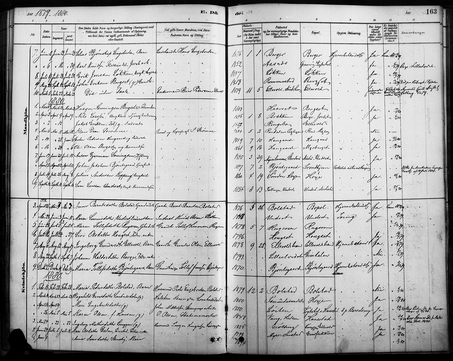 Rendalen prestekontor, SAH/PREST-054/H/Ha/Haa/L0009: Parish register (official) no. 9, 1878-1901, p. 163