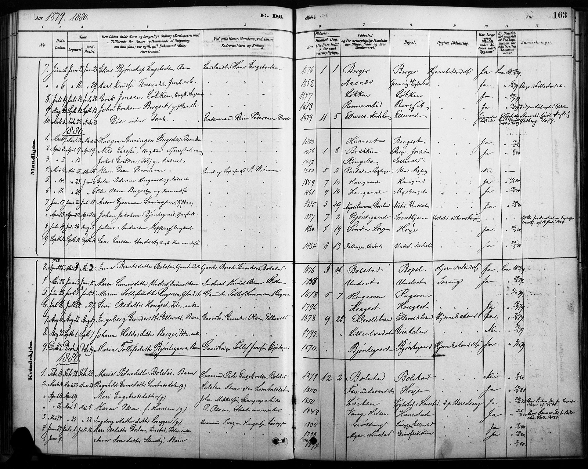 Rendalen prestekontor, AV/SAH-PREST-054/H/Ha/Haa/L0009: Parish register (official) no. 9, 1878-1901, p. 163