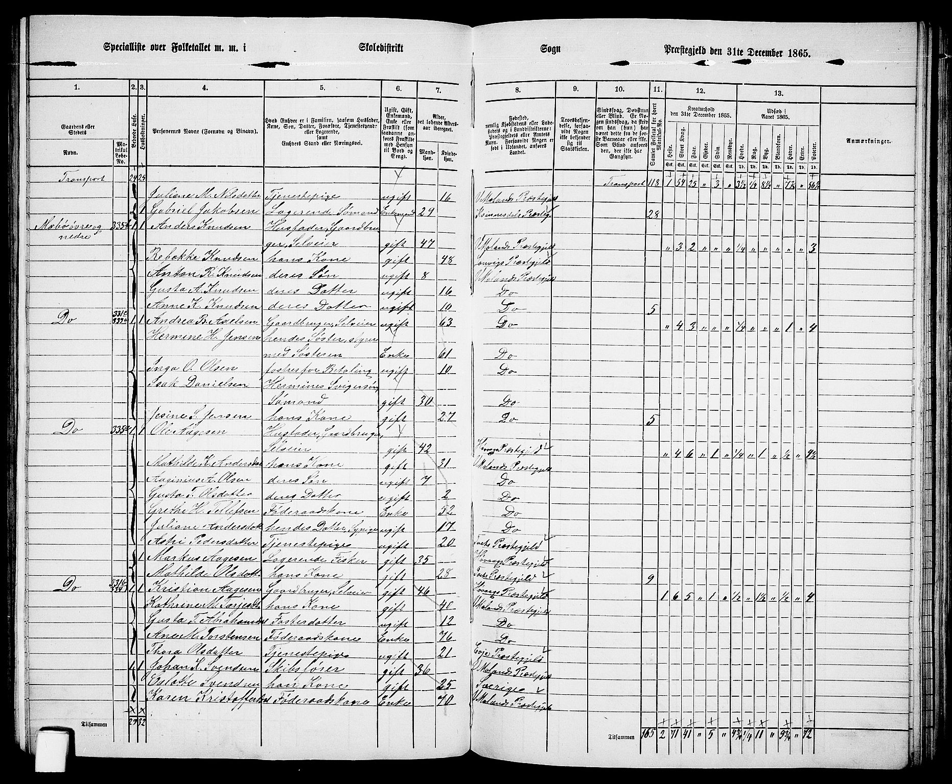 RA, 1865 census for Vestre Moland/Vestre Moland, 1865, p. 11