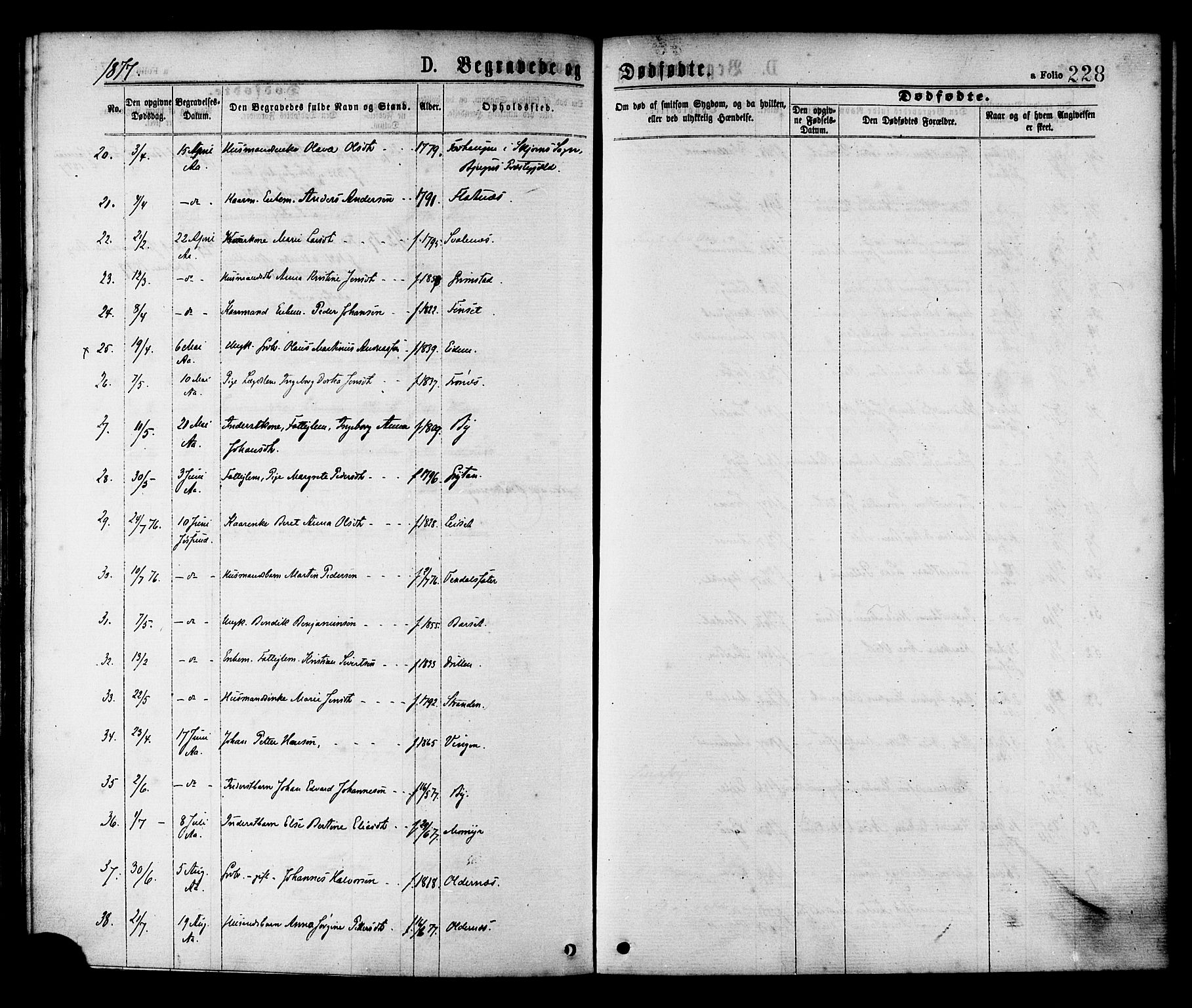 Ministerialprotokoller, klokkerbøker og fødselsregistre - Sør-Trøndelag, SAT/A-1456/655/L0679: Parish register (official) no. 655A08, 1873-1879, p. 228