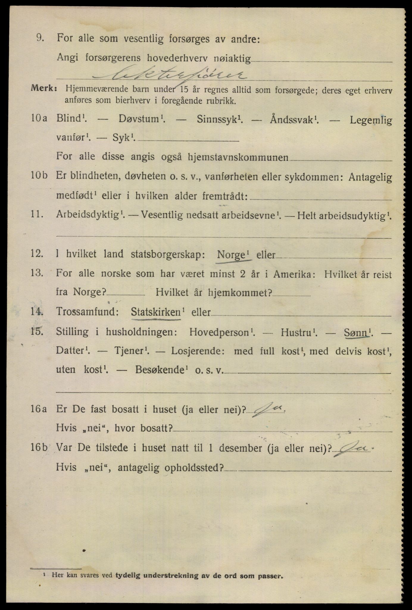 SAKO, 1920 census for Skien, 1920, p. 32223