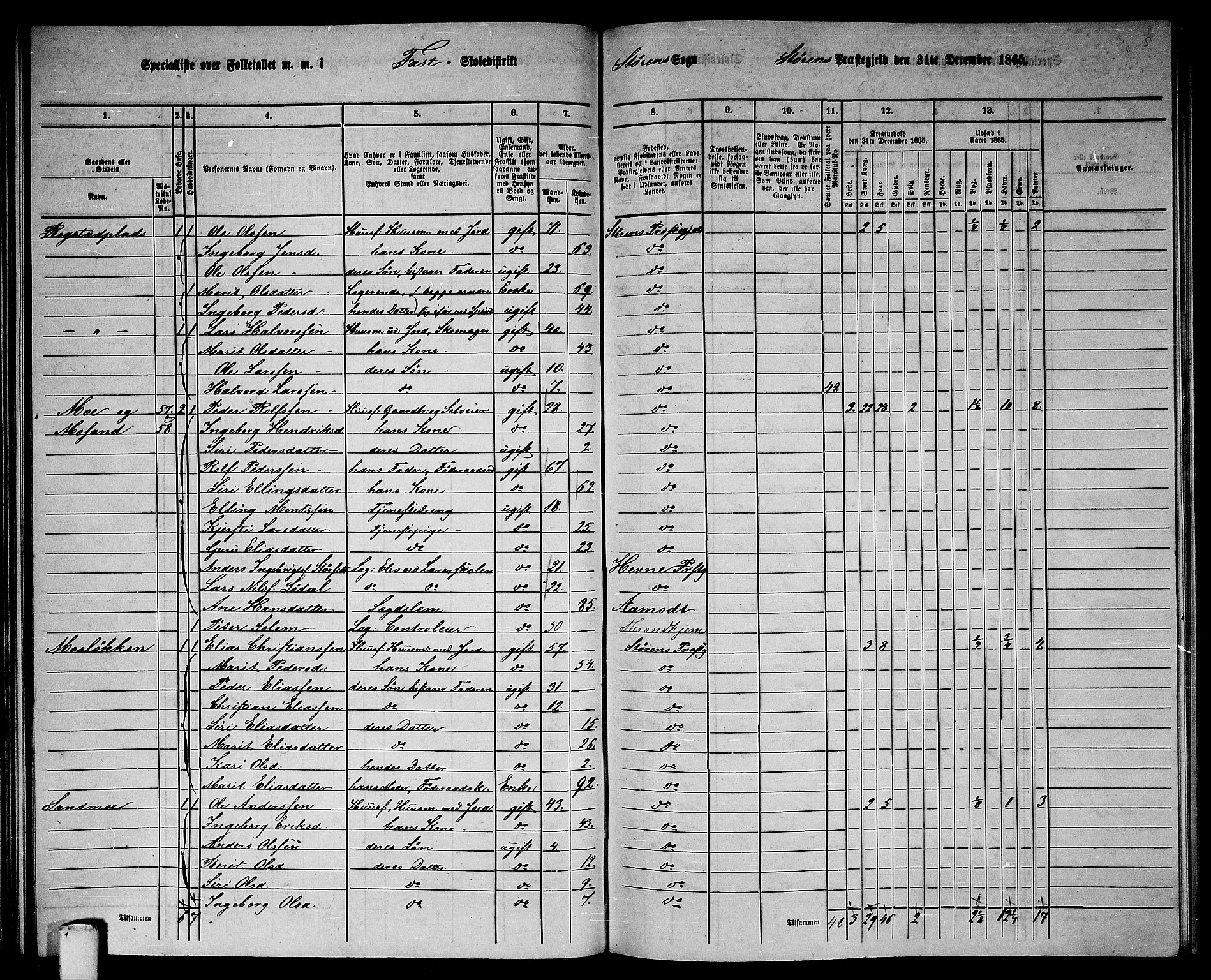 RA, 1865 census for Støren, 1865, p. 90