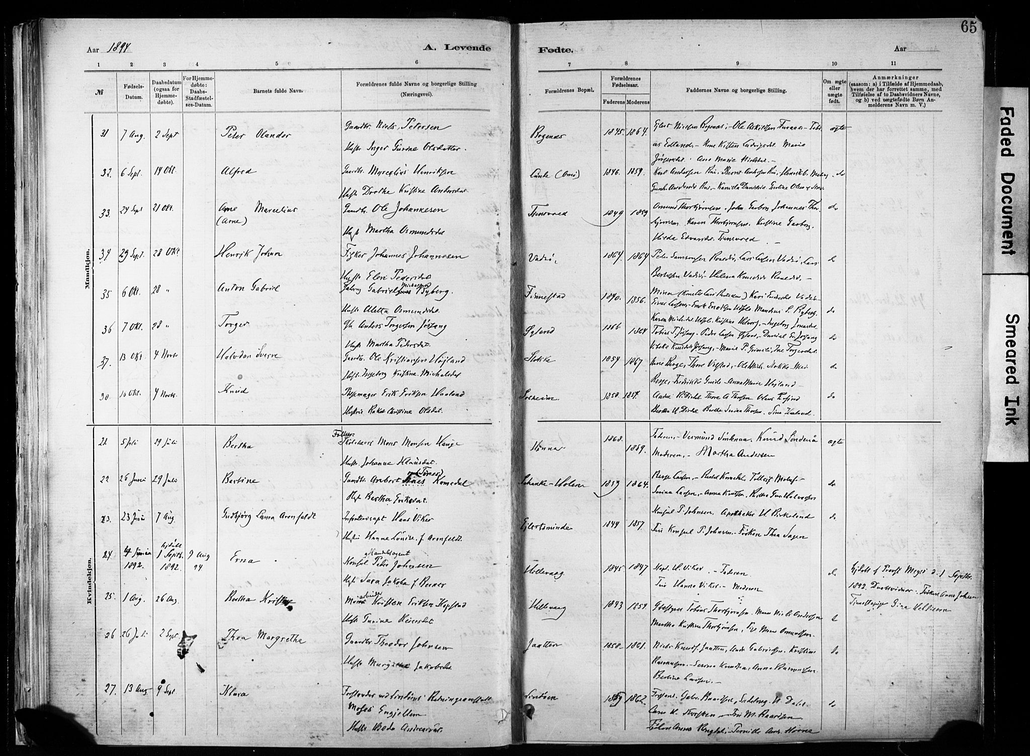 Hetland sokneprestkontor, AV/SAST-A-101826/30/30BA/L0011: Parish register (official) no. A 11, 1884-1911, p. 65