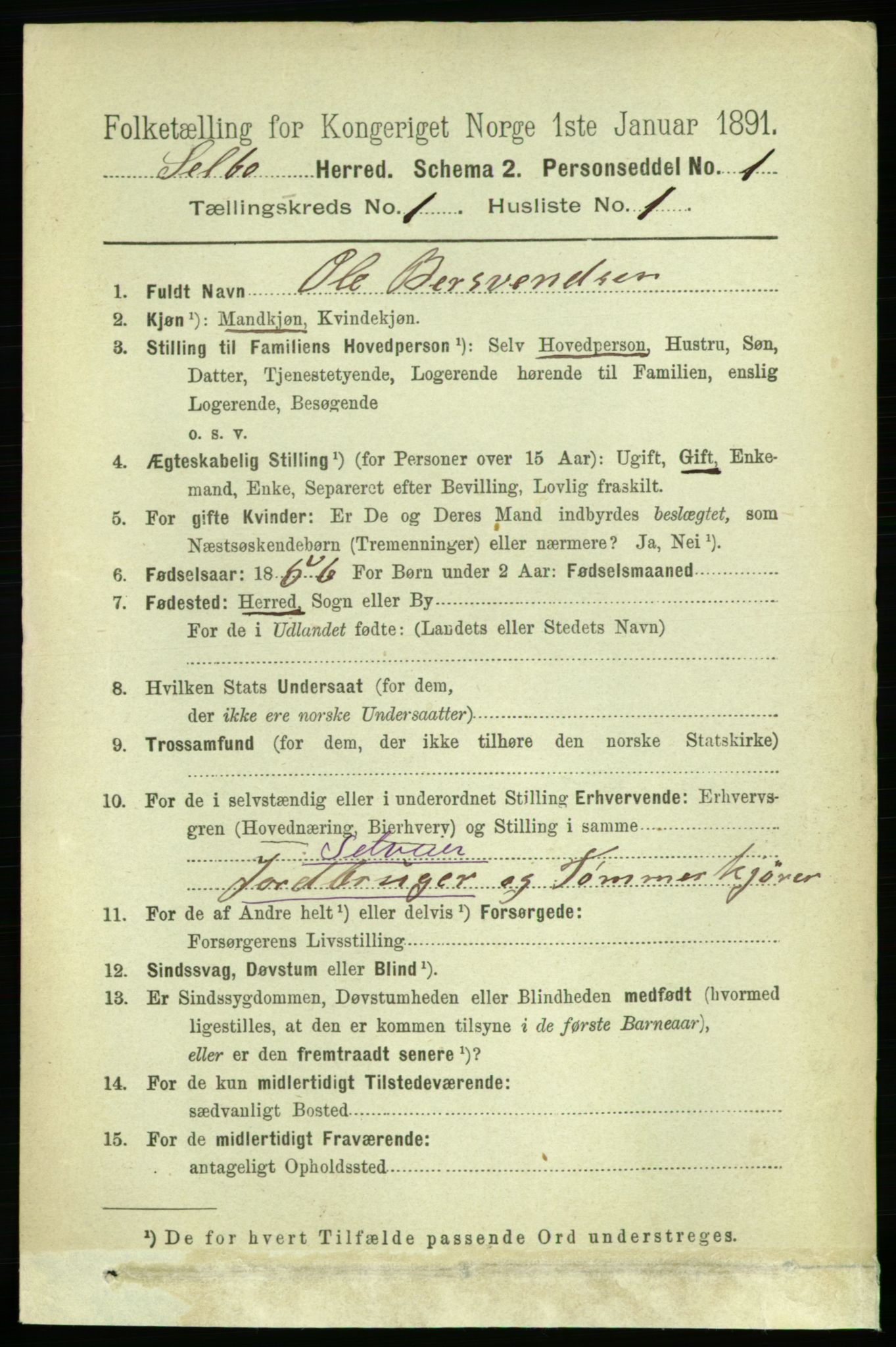 RA, 1891 census for 1664 Selbu, 1891, p. 65