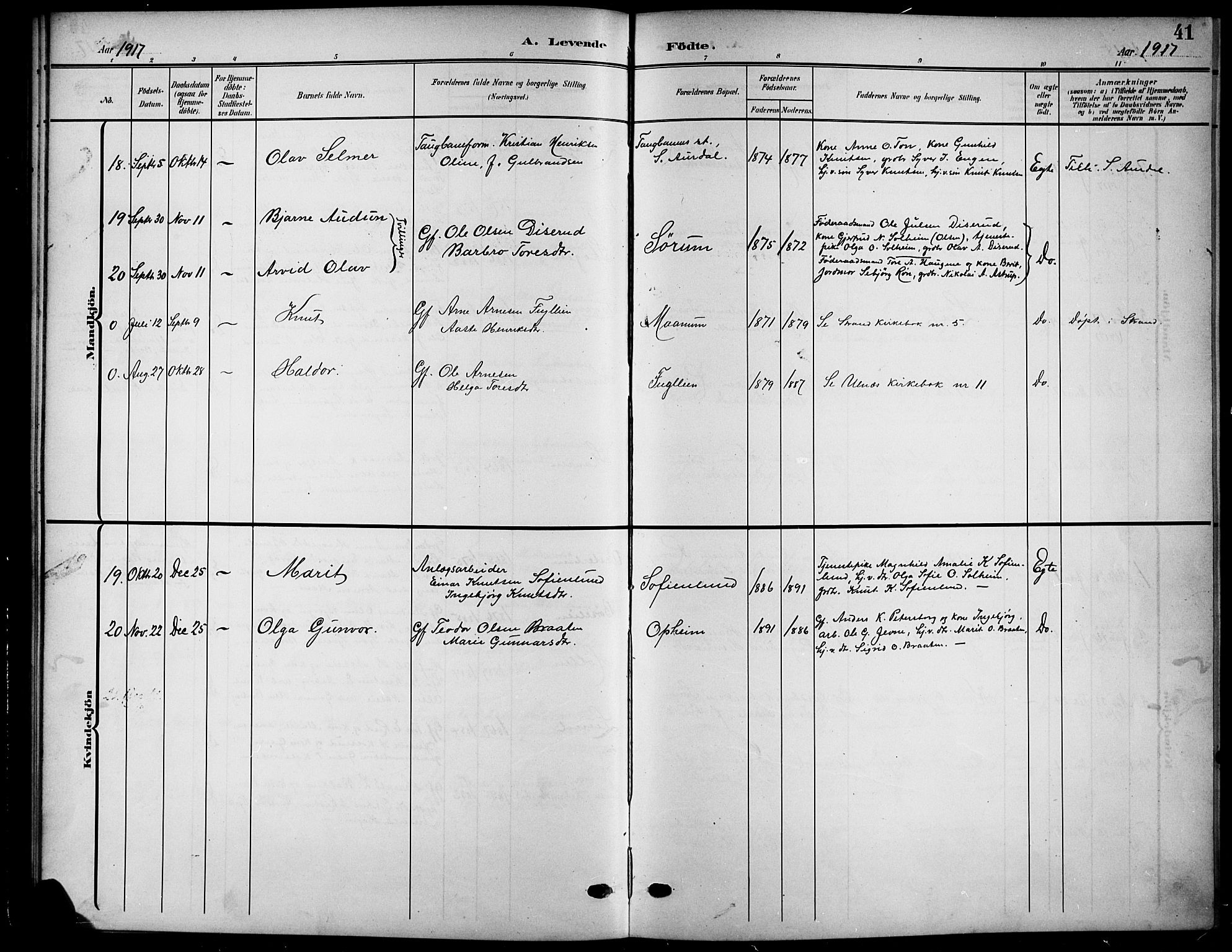 Nord-Aurdal prestekontor, SAH/PREST-132/H/Ha/Hab/L0012: Parish register (copy) no. 12, 1907-1920, p. 41