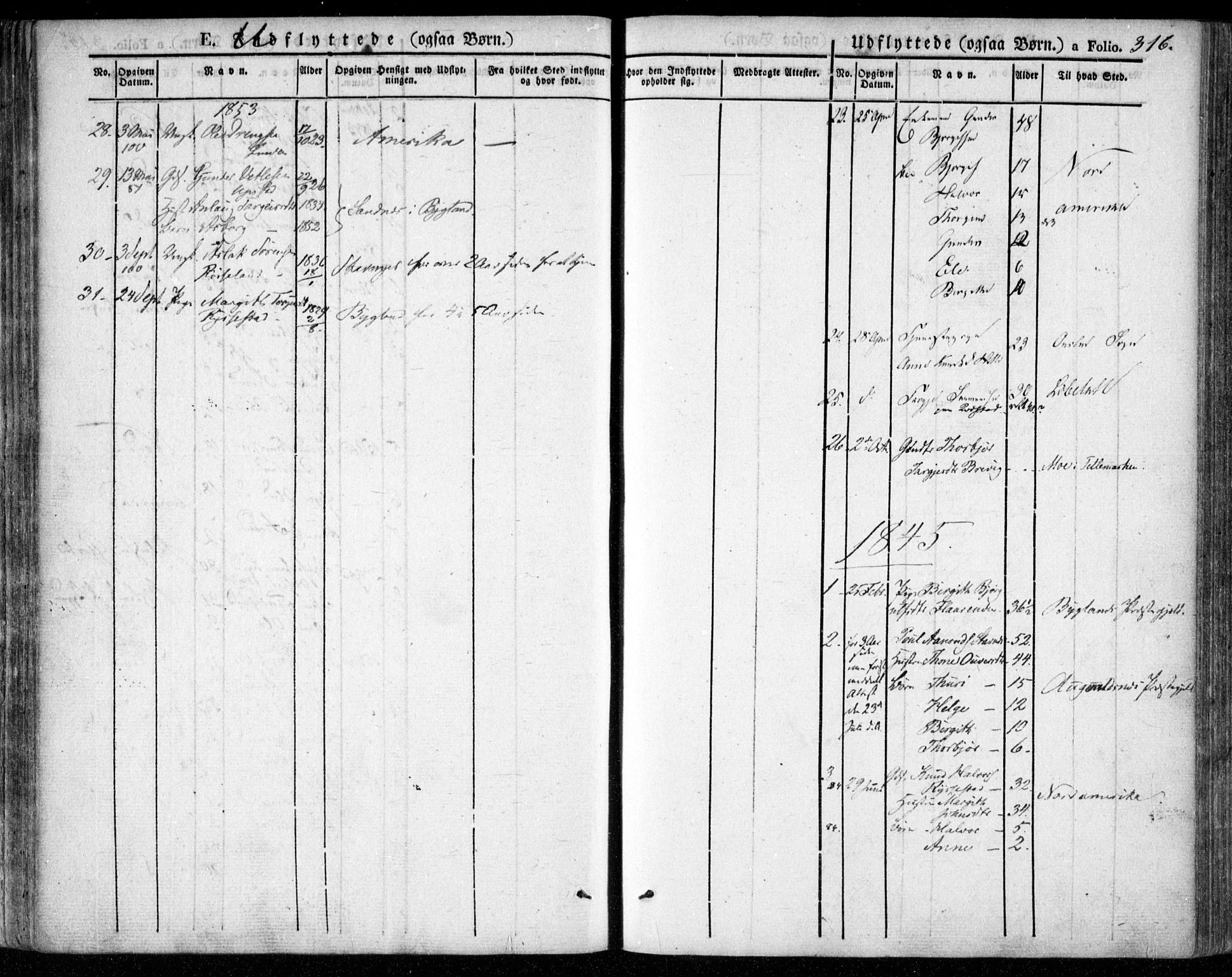 Valle sokneprestkontor, SAK/1111-0044/F/Fa/Fac/L0006: Parish register (official) no. A 6, 1831-1853, p. 316