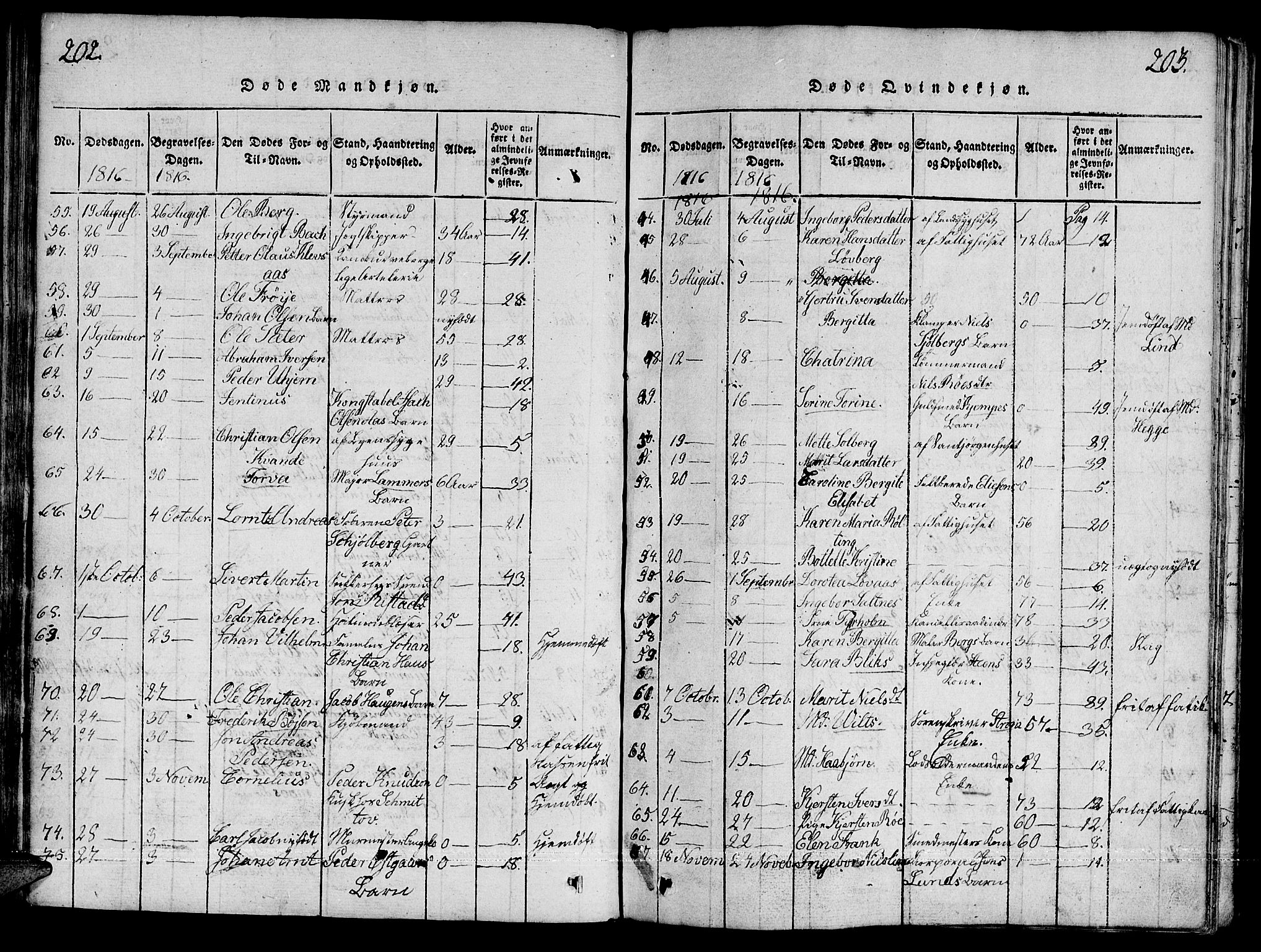 Ministerialprotokoller, klokkerbøker og fødselsregistre - Sør-Trøndelag, AV/SAT-A-1456/601/L0043: Parish register (official) no. 601A11, 1815-1821, p. 202-203