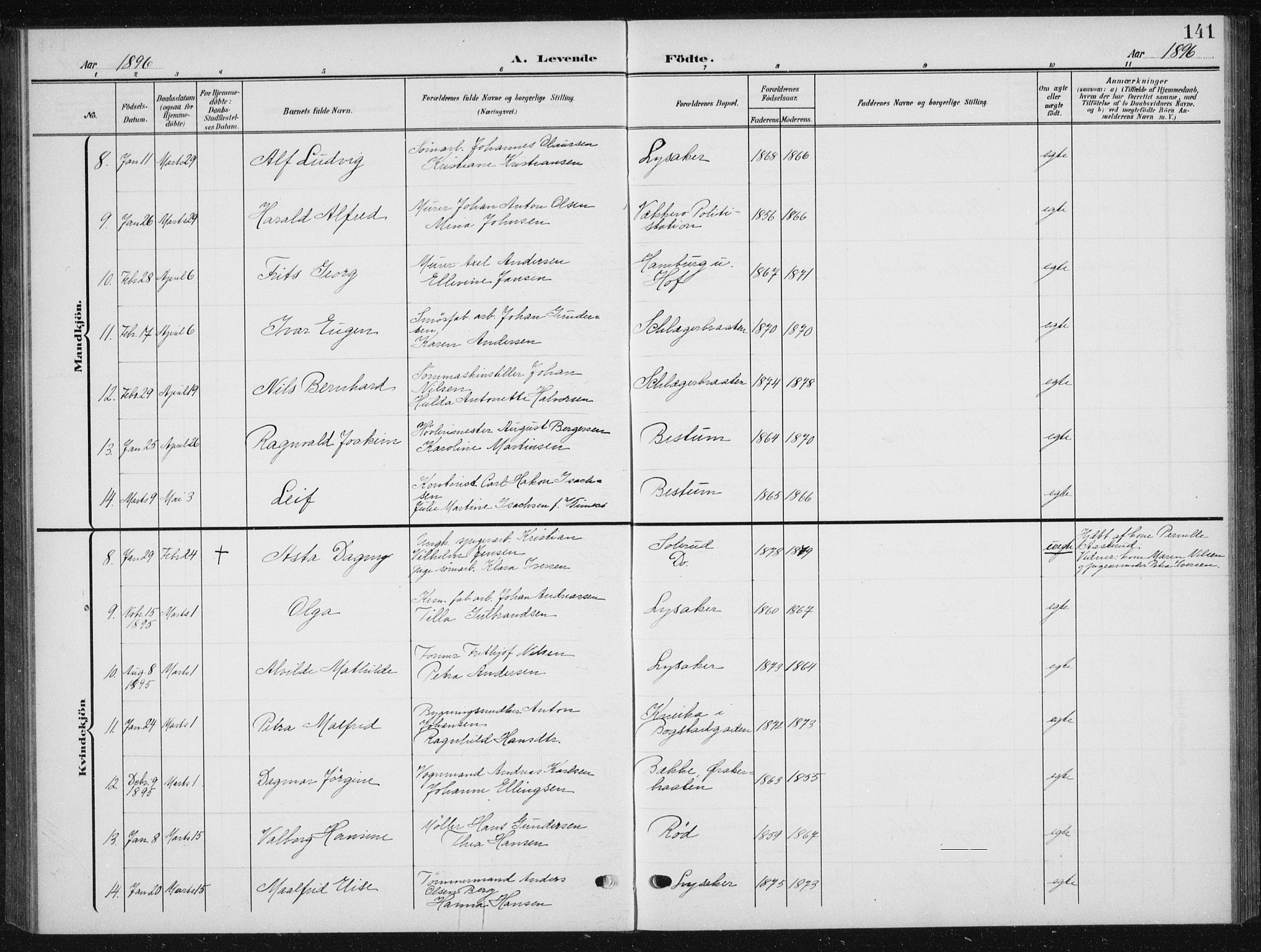 Vestre Aker prestekontor Kirkebøker, AV/SAO-A-10025/F/Fb/L0001: Parish register (official) no. II 1, 1880-1906, p. 141