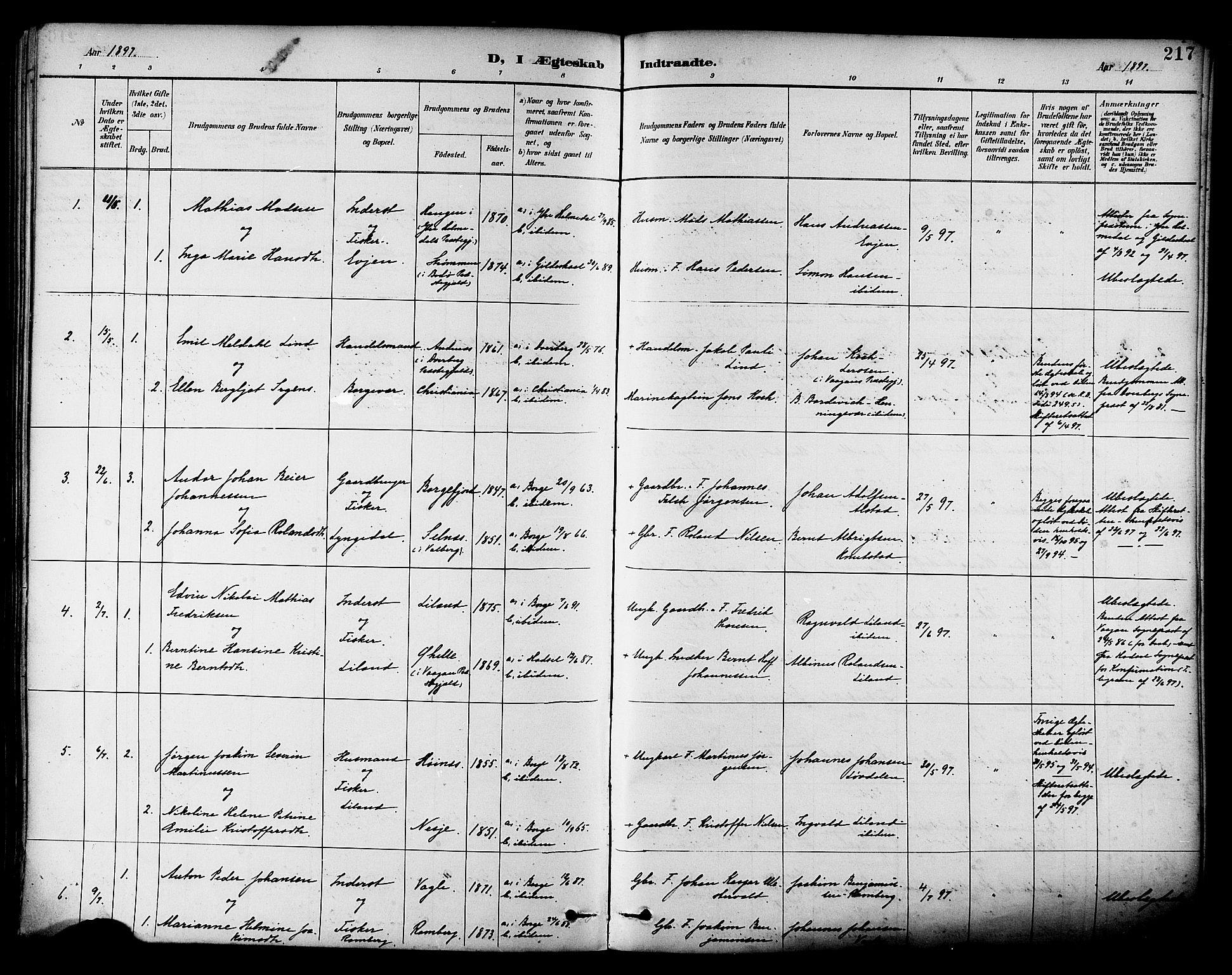 Ministerialprotokoller, klokkerbøker og fødselsregistre - Nordland, AV/SAT-A-1459/880/L1133: Parish register (official) no. 880A07, 1888-1898, p. 217
