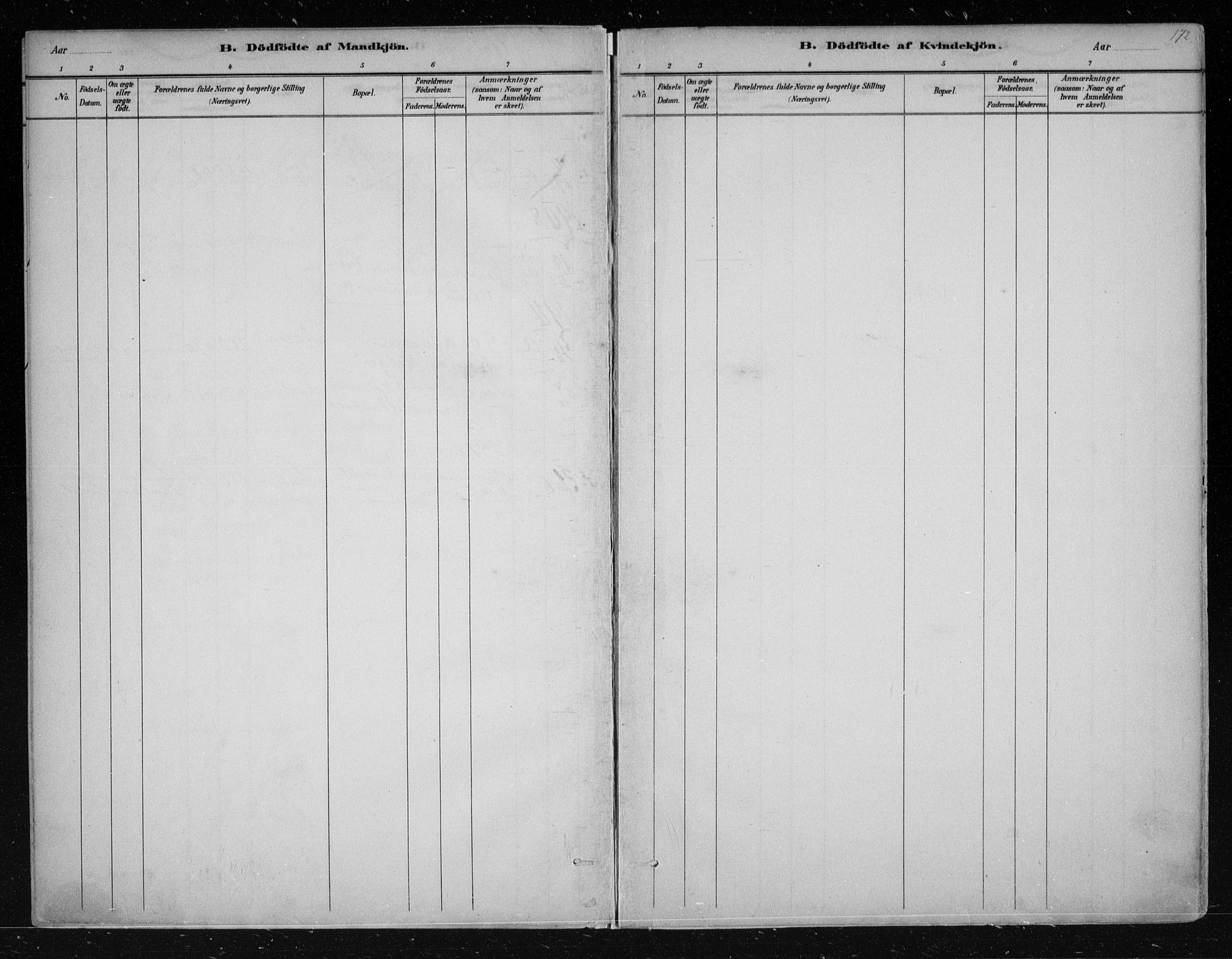 Nes kirkebøker, SAKO/A-236/F/Fa/L0011: Parish register (official) no. 11, 1881-1912, p. 172