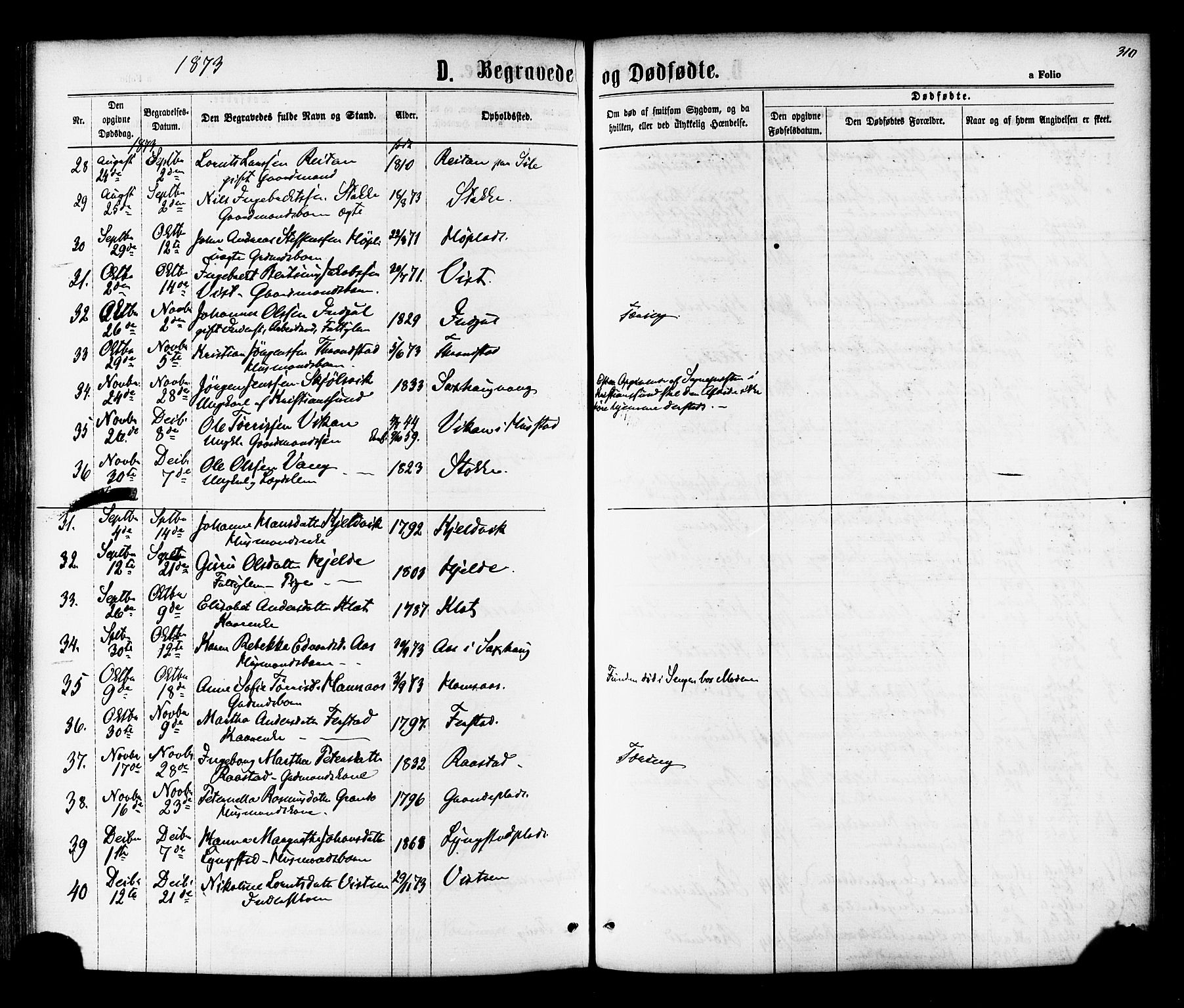 Ministerialprotokoller, klokkerbøker og fødselsregistre - Nord-Trøndelag, SAT/A-1458/730/L0284: Parish register (official) no. 730A09, 1866-1878, p. 310