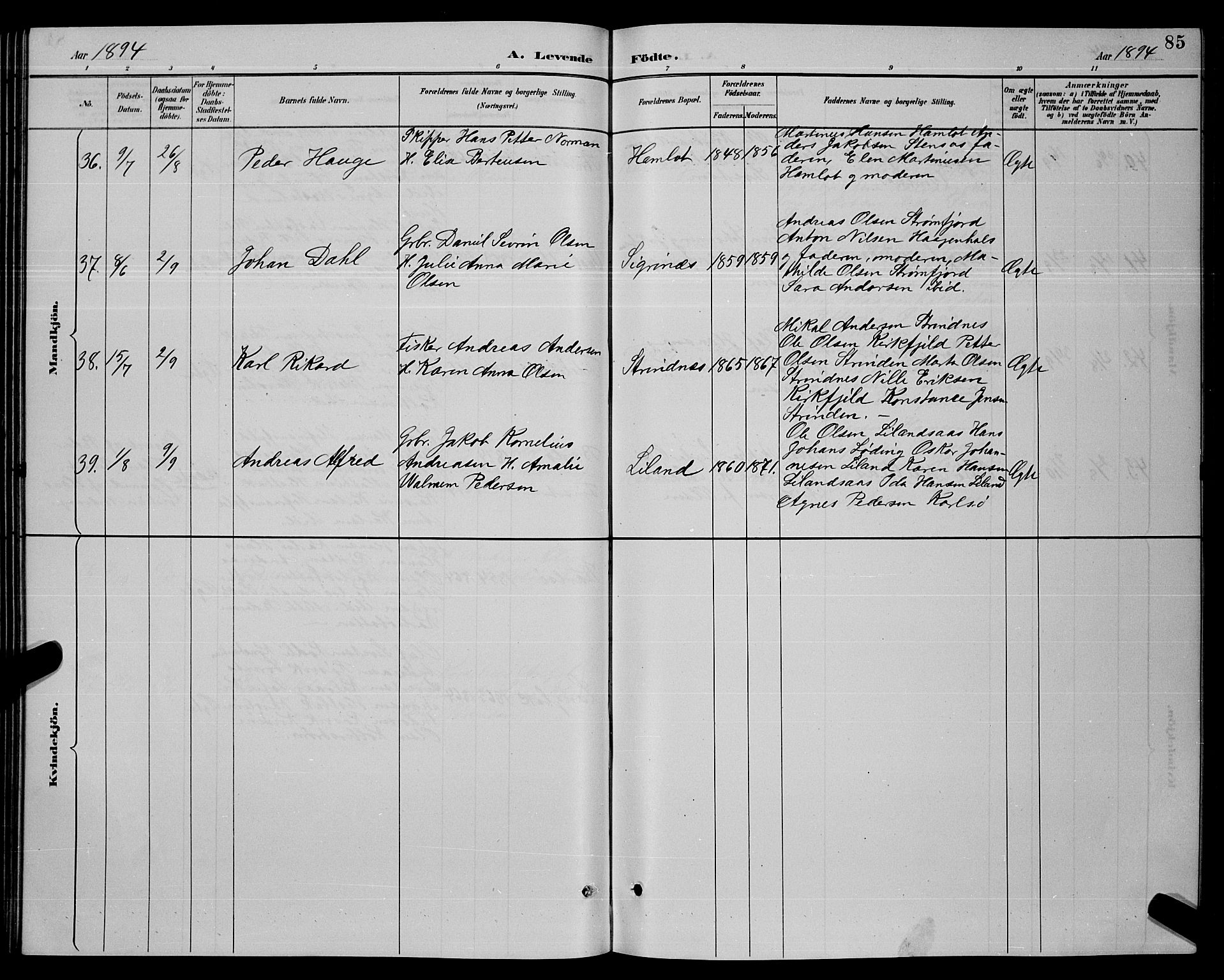 Ministerialprotokoller, klokkerbøker og fødselsregistre - Nordland, SAT/A-1459/859/L0859: Parish register (copy) no. 859C05, 1887-1898, p. 85
