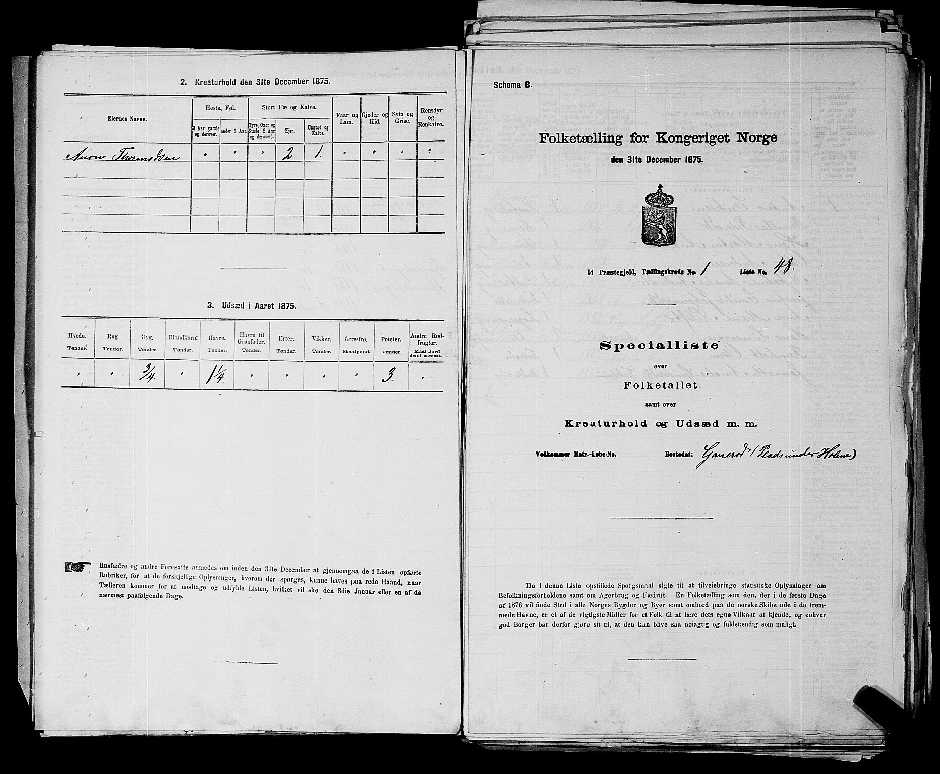 RA, 1875 census for 0117P Idd, 1875, p. 46