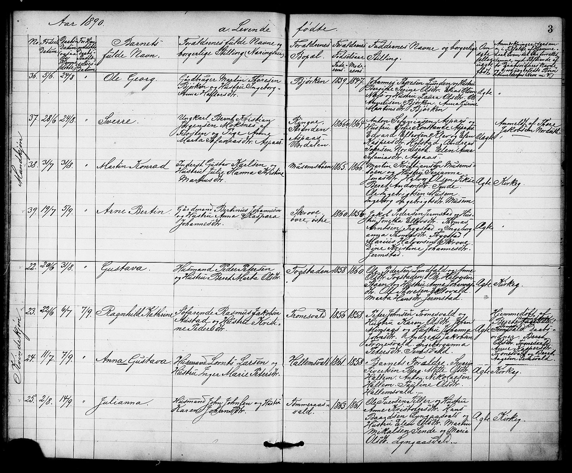 Ministerialprotokoller, klokkerbøker og fødselsregistre - Nord-Trøndelag, AV/SAT-A-1458/723/L0257: Parish register (copy) no. 723C05, 1890-1907, p. 3