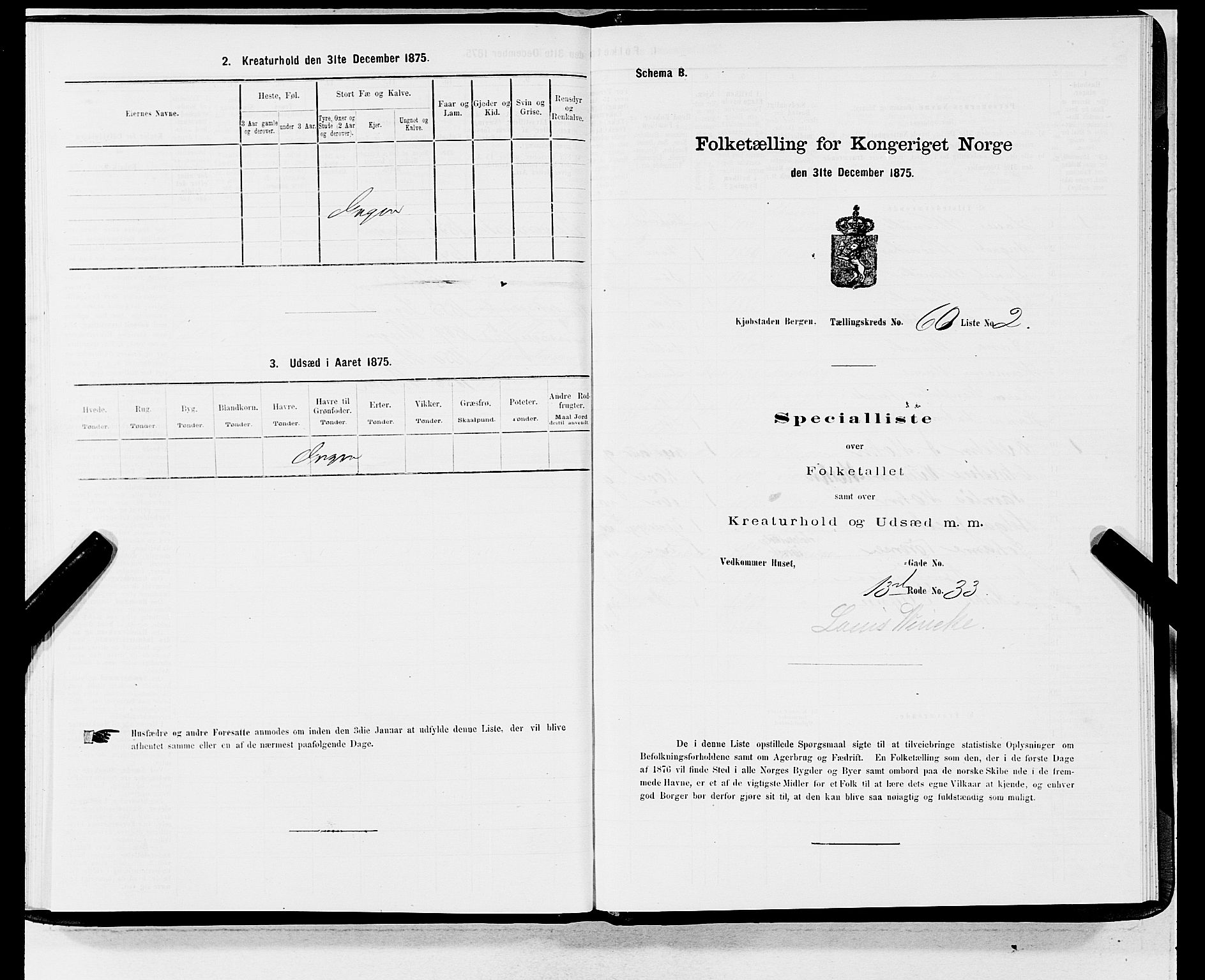 SAB, 1875 census for 1301 Bergen, 1875, p. 3176