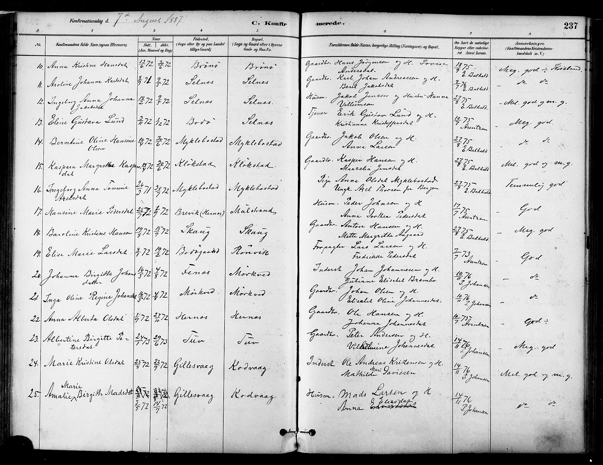 Ministerialprotokoller, klokkerbøker og fødselsregistre - Nordland, AV/SAT-A-1459/802/L0054: Parish register (official) no. 802A01, 1879-1893, p. 237