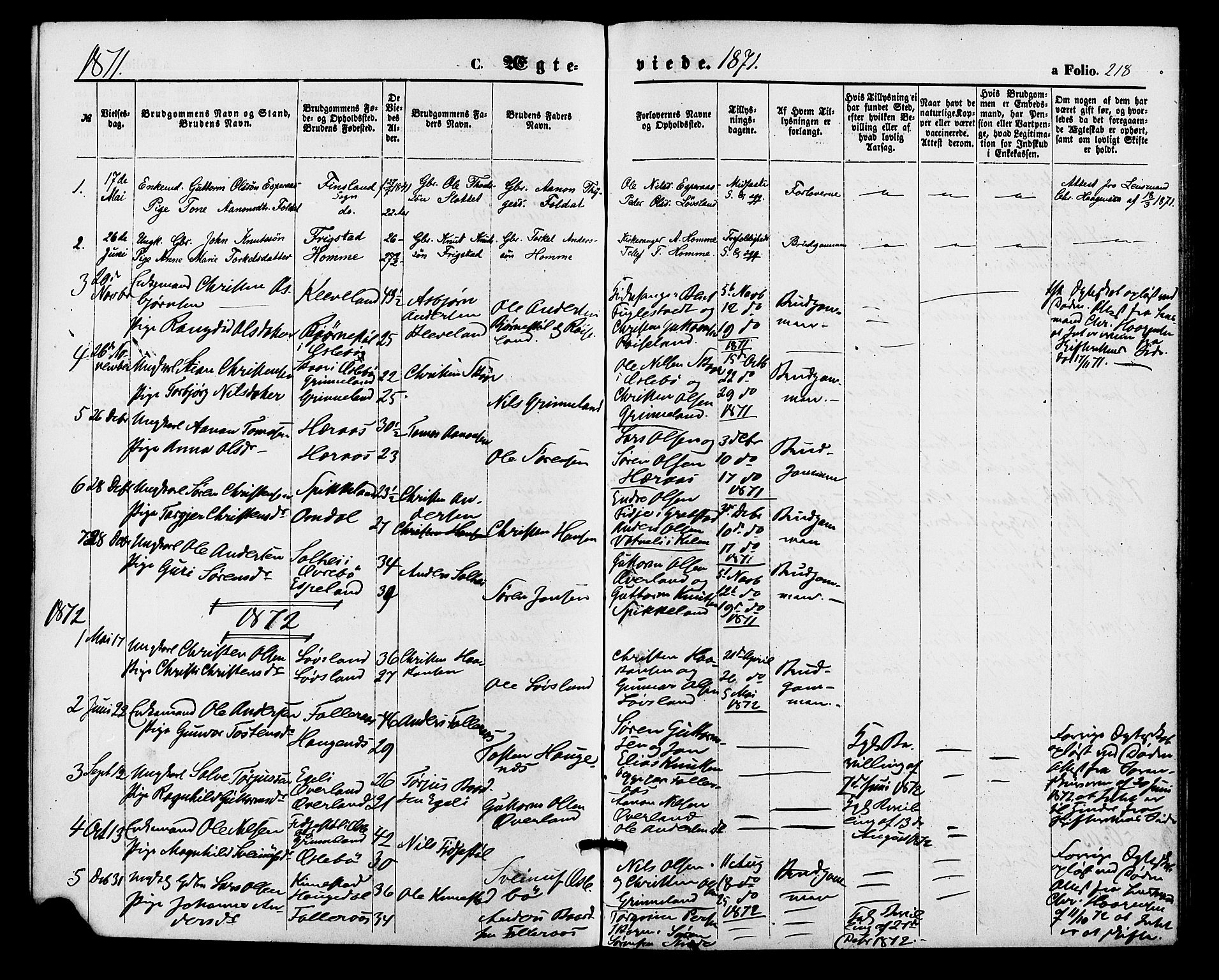 Bjelland sokneprestkontor, SAK/1111-0005/F/Fa/Fab/L0003: Parish register (official) no. A 3, 1870-1887, p. 218