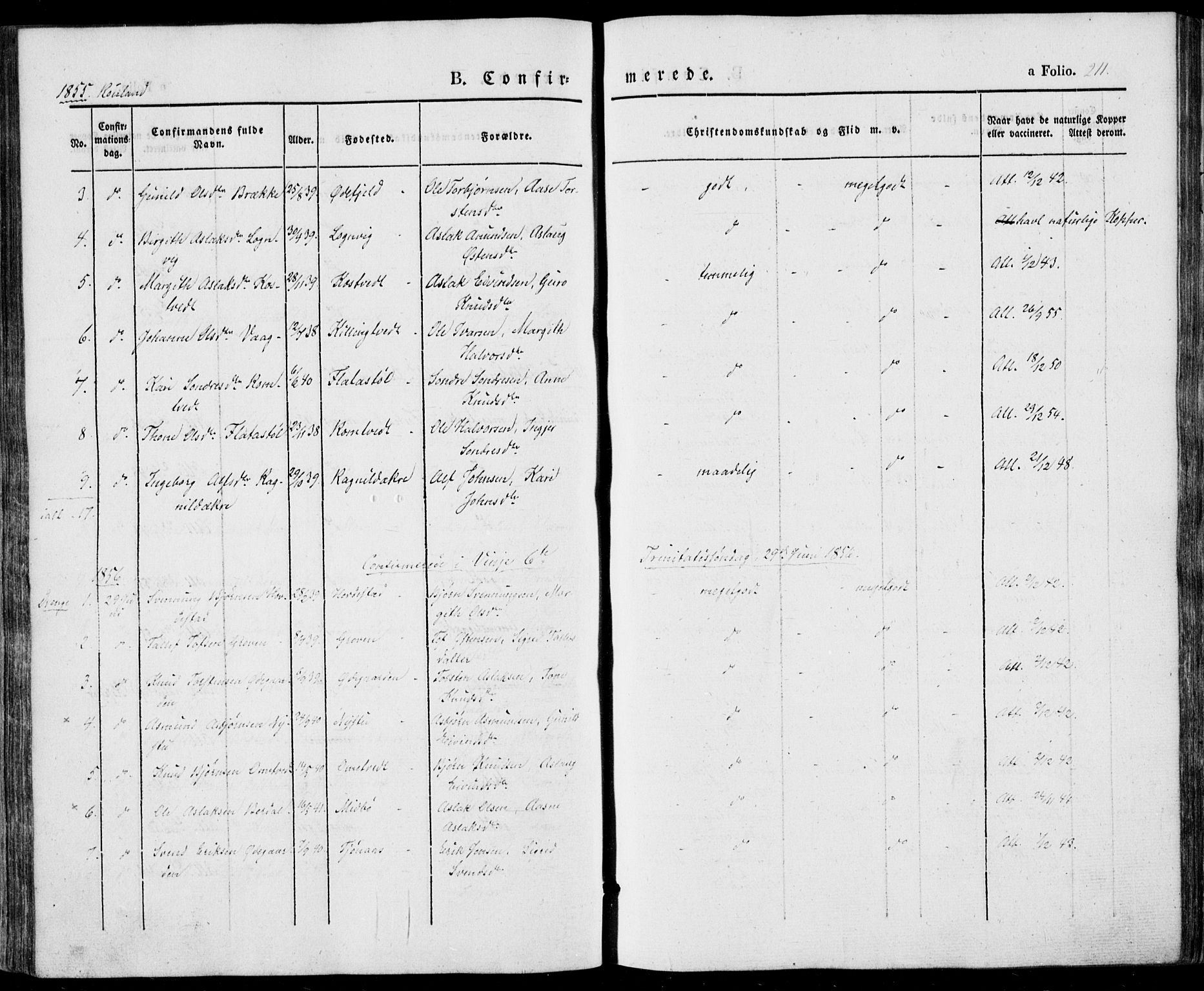 Vinje kirkebøker, SAKO/A-312/F/Fa/L0004: Parish register (official) no. I 4, 1843-1869, p. 211