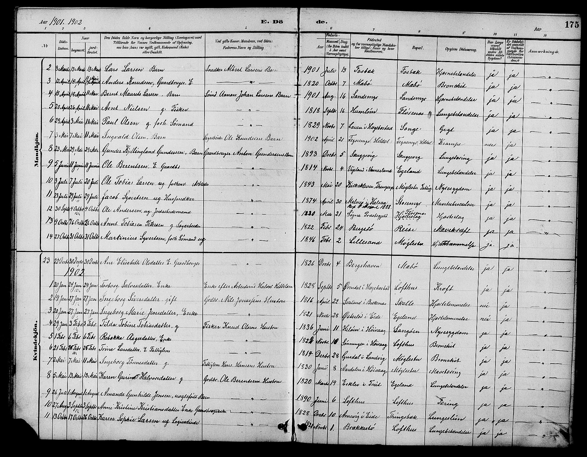 Vestre Moland sokneprestkontor, AV/SAK-1111-0046/F/Fb/Fbb/L0006: Parish register (copy) no. B 6, 1884-1905, p. 175