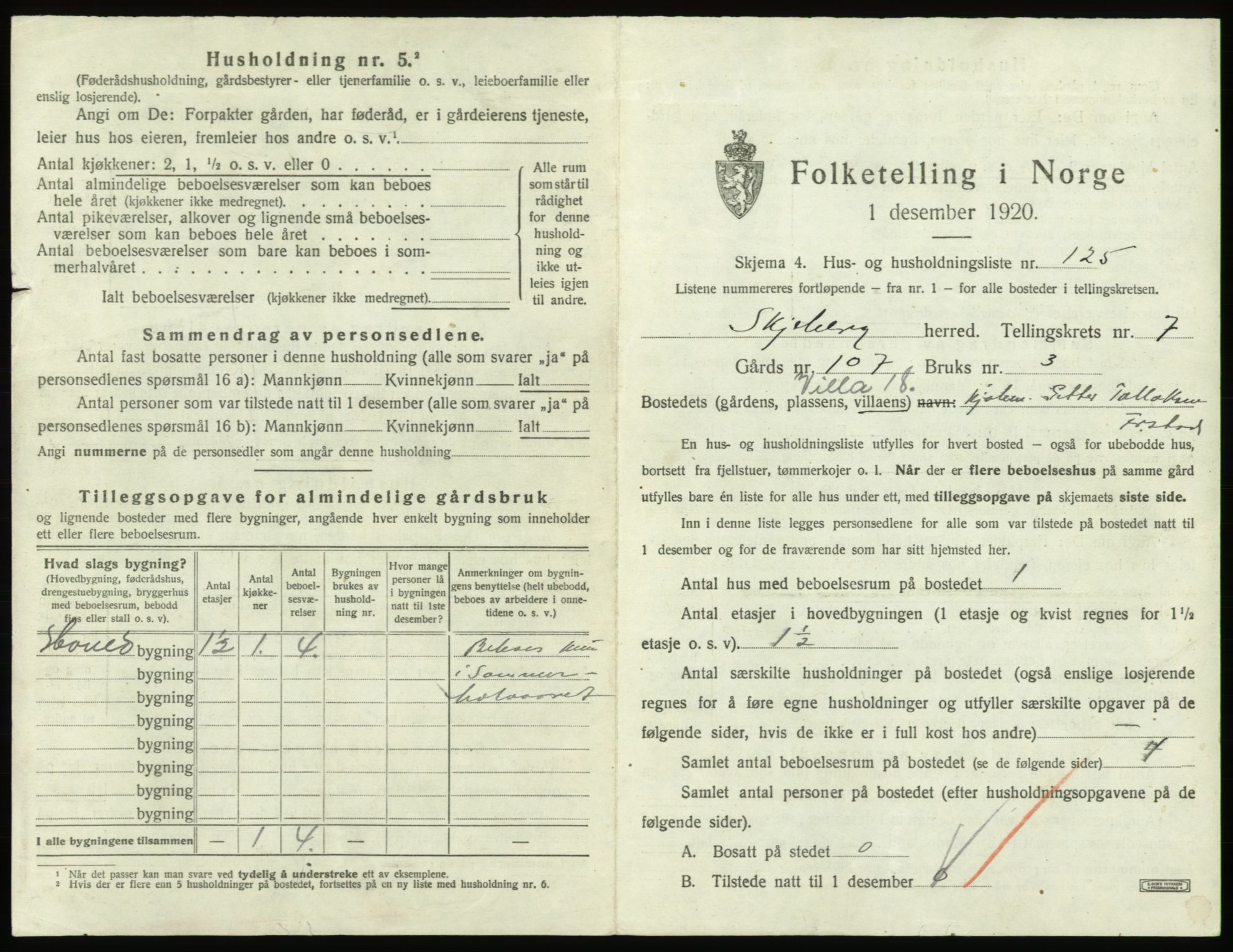 SAO, 1920 census for Skjeberg, 1920, p. 1141