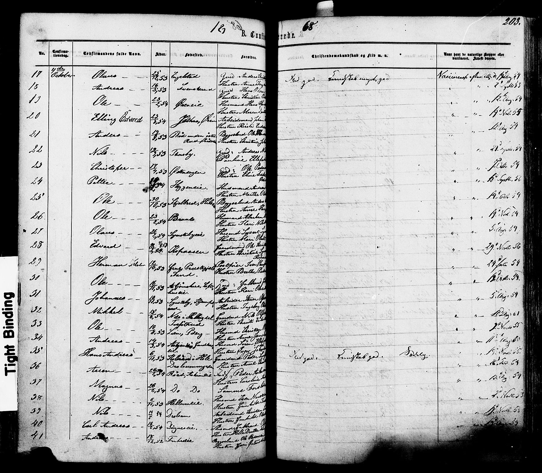 Modum kirkebøker, AV/SAKO-A-234/F/Fa/L0010: Parish register (official) no. 10, 1865-1876, p. 203