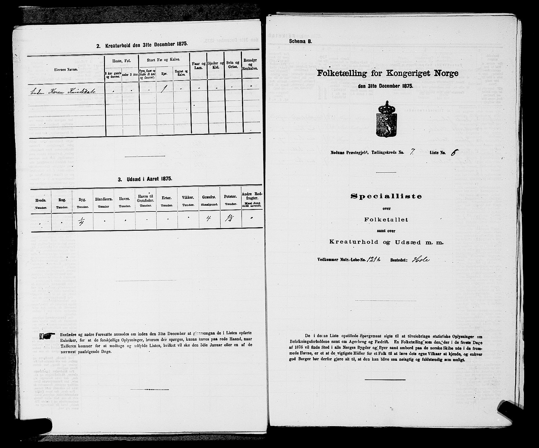 SAKO, 1875 census for 0623P Modum, 1875, p. 741