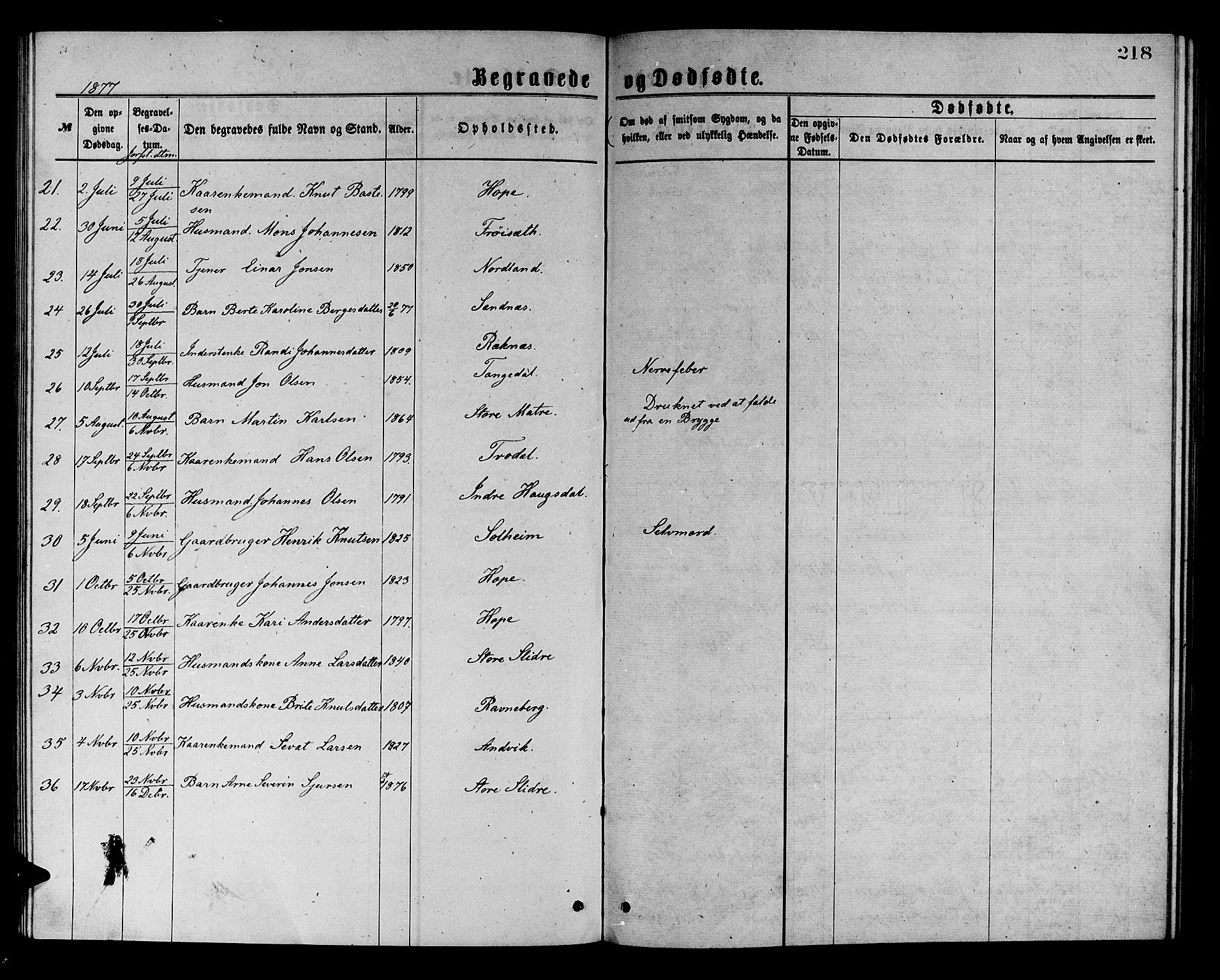 Masfjorden Sokneprestembete, SAB/A-77001: Parish register (copy) no. A 2, 1876-1891, p. 218