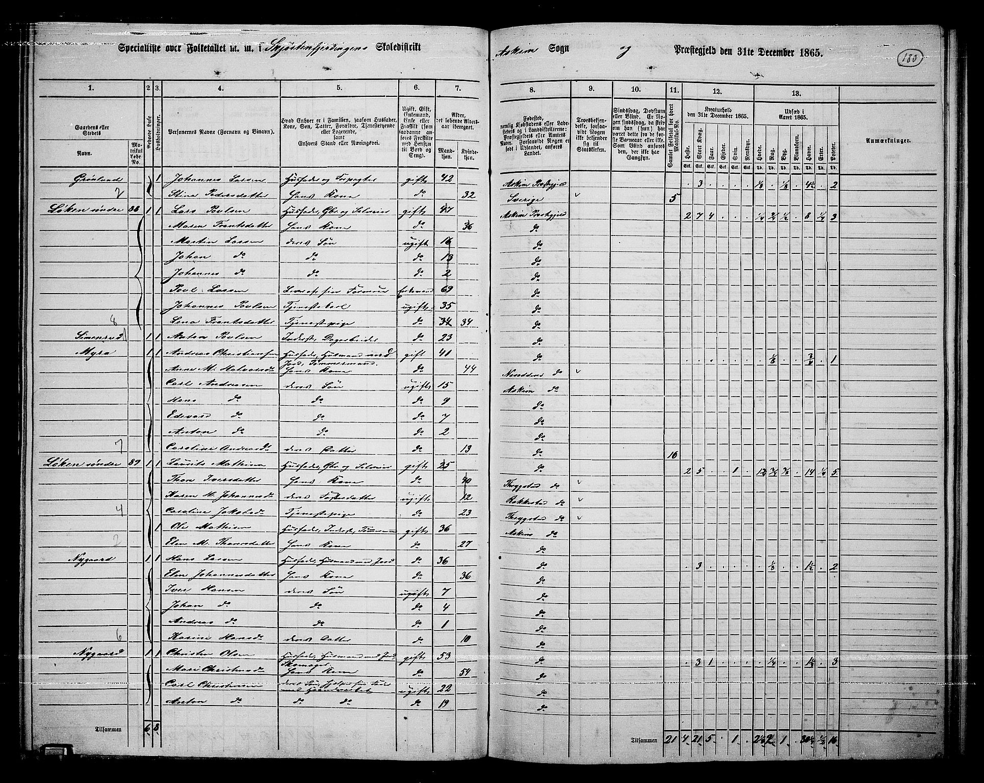RA, 1865 census for Askim, 1865, p. 40