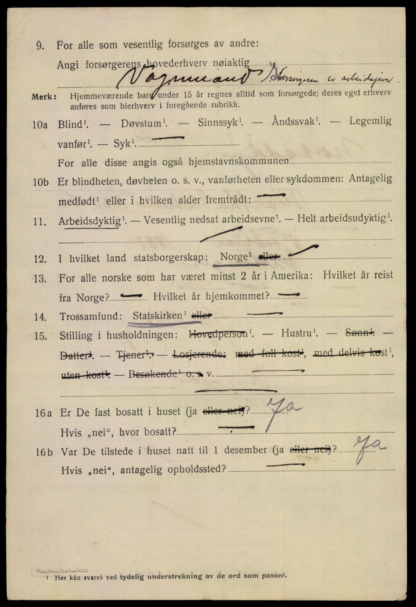 SAKO, 1920 census for Notodden, 1920, p. 4197