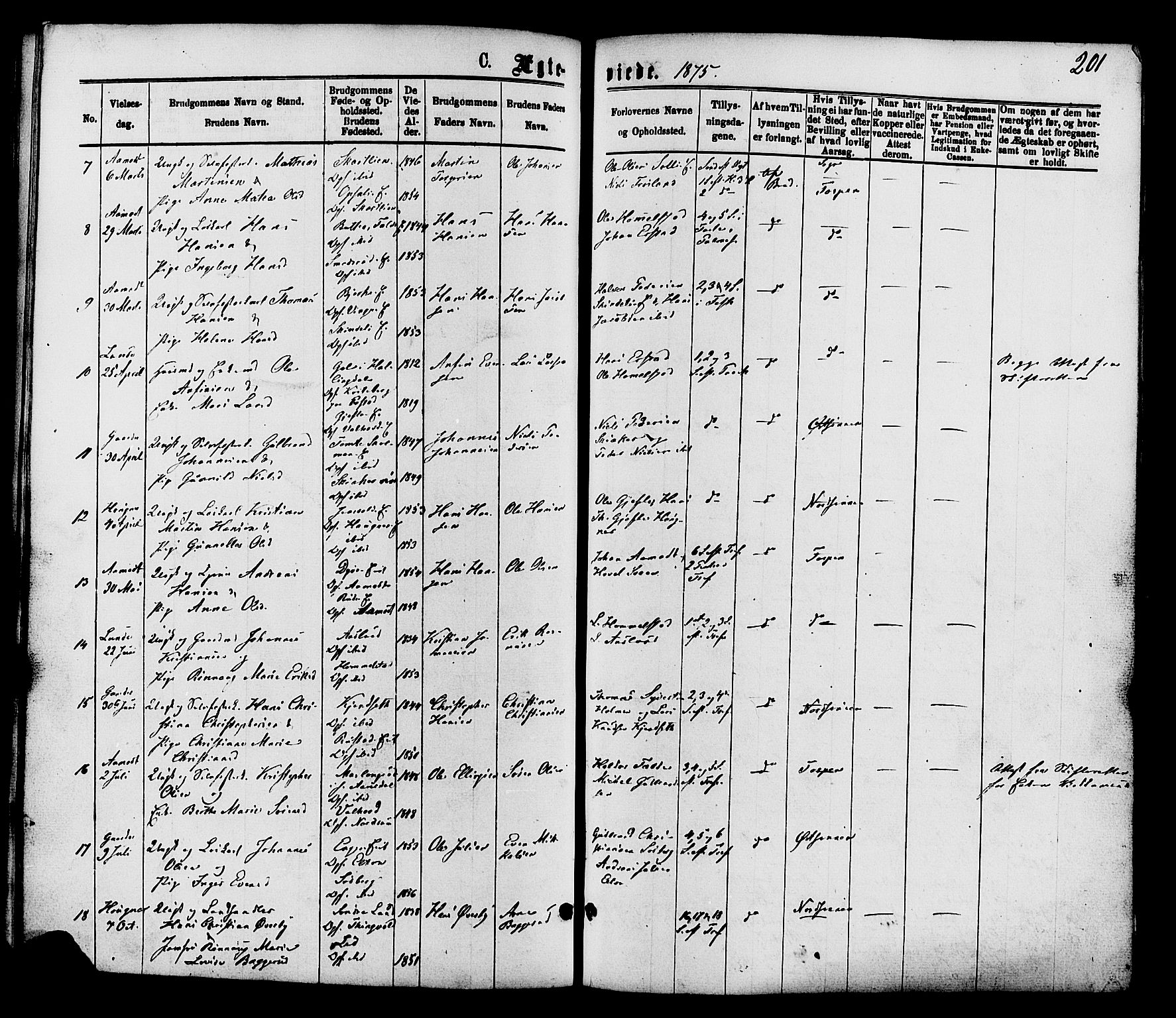 Nordre Land prestekontor, SAH/PREST-124/H/Ha/Haa/L0002: Parish register (official) no. 2, 1872-1881, p. 201