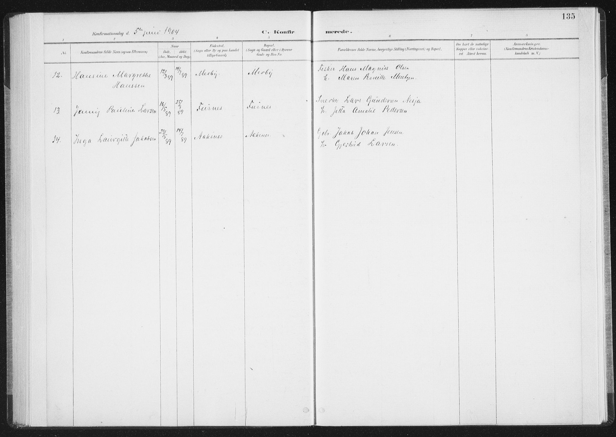 Ministerialprotokoller, klokkerbøker og fødselsregistre - Nordland, AV/SAT-A-1459/898/L1422: Parish register (official) no. 898A02, 1887-1908, p. 135