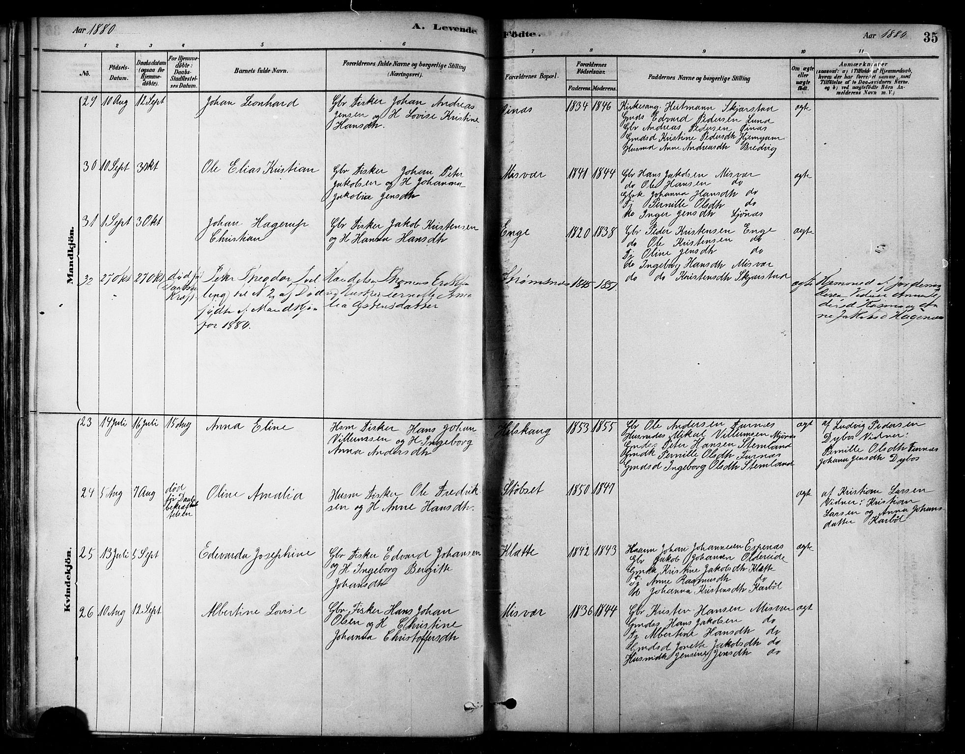 Ministerialprotokoller, klokkerbøker og fødselsregistre - Nordland, AV/SAT-A-1459/852/L0740: Parish register (official) no. 852A10, 1878-1894, p. 35