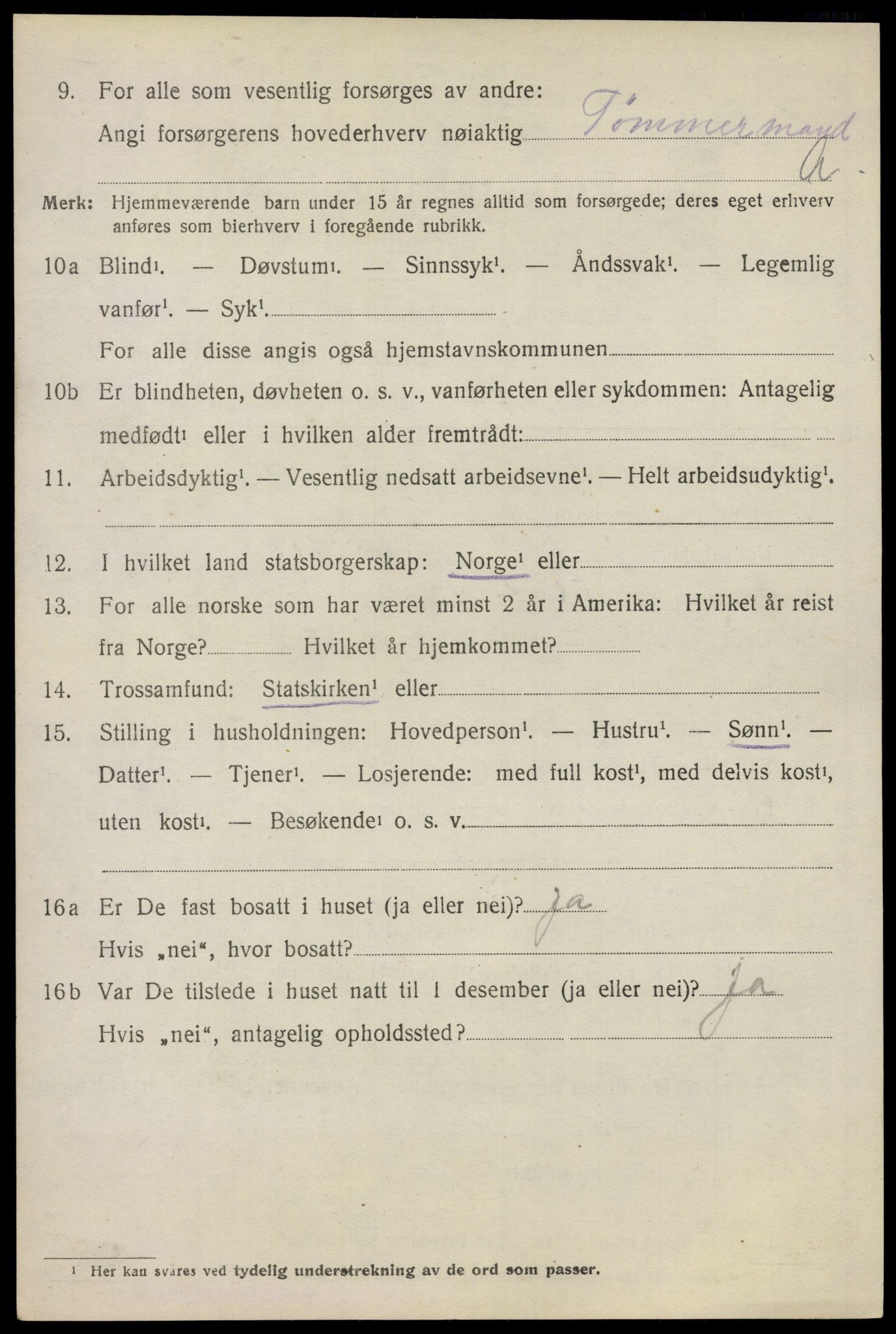 SAO, 1920 census for Asker, 1920, p. 11699