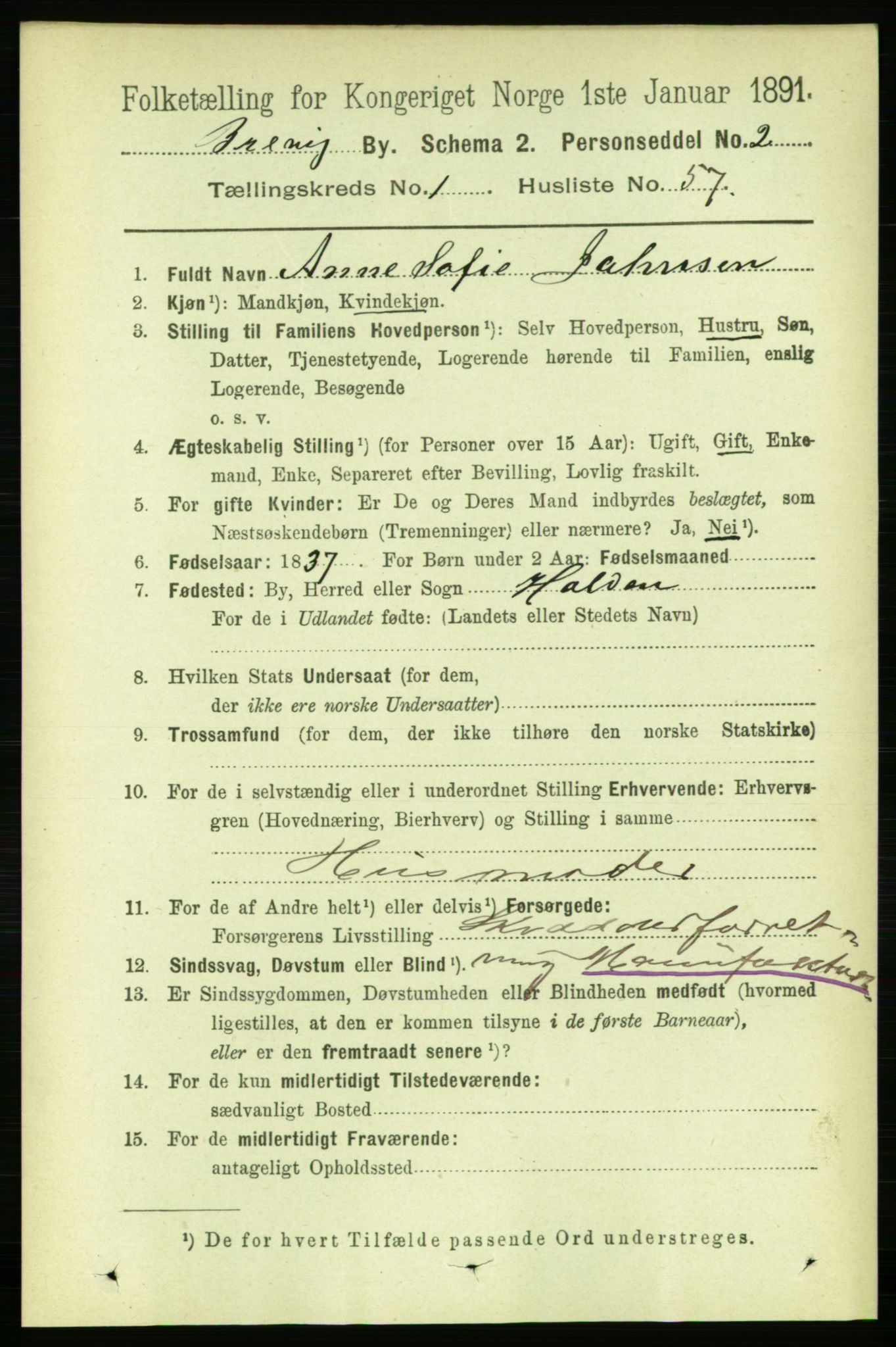 RA, 1891 census for 0804 Brevik, 1891, p. 1170